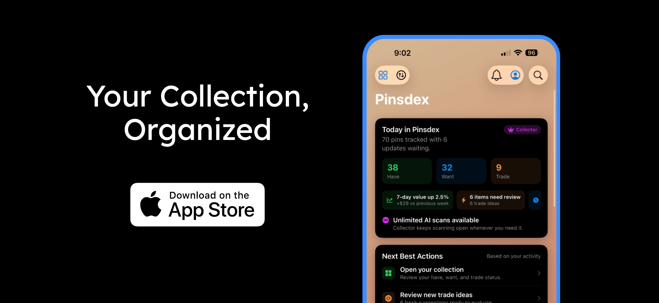 Pinsdex collection screen showing organized Disney pins