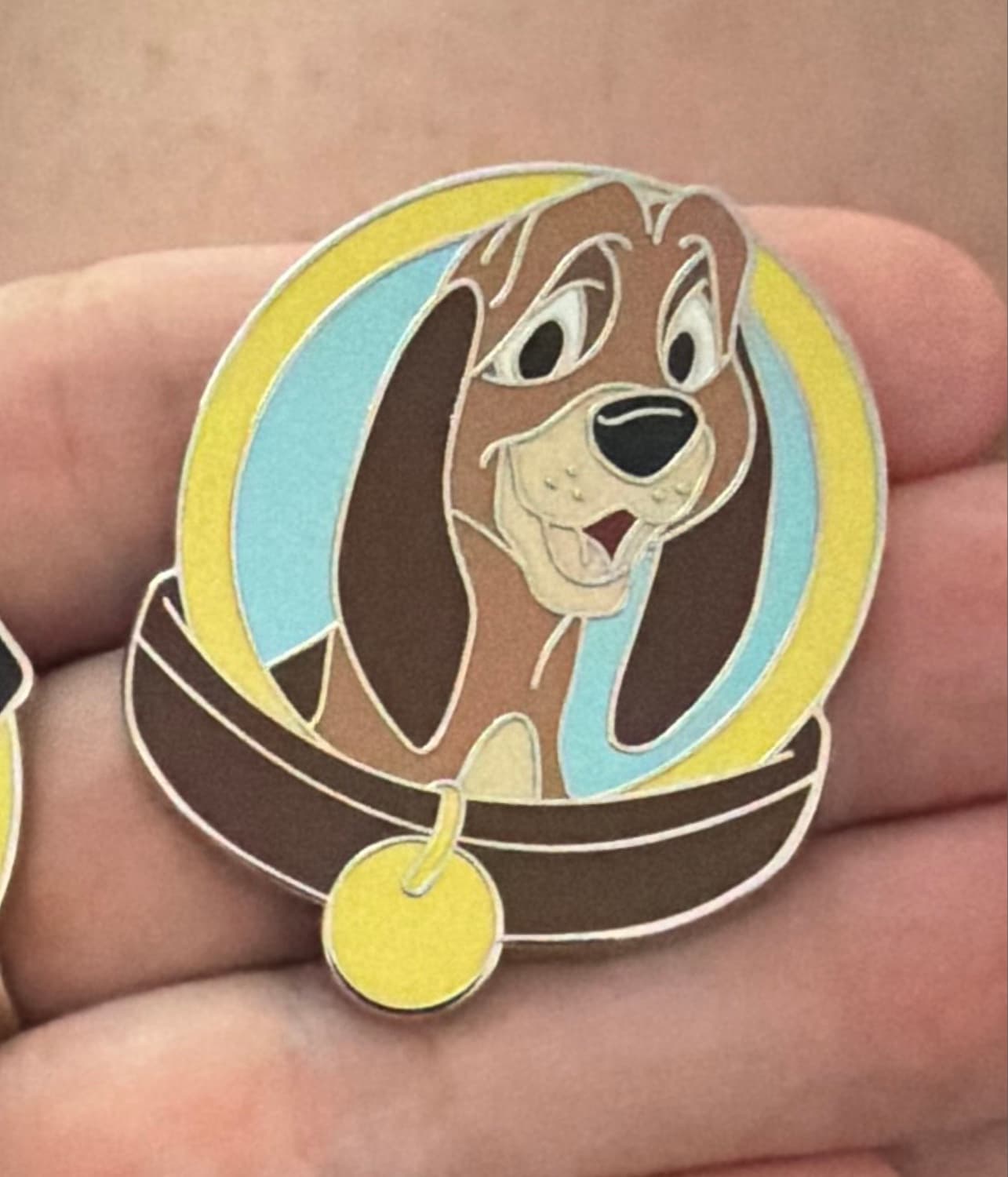 Magical Mystery Dog & Cat Collars