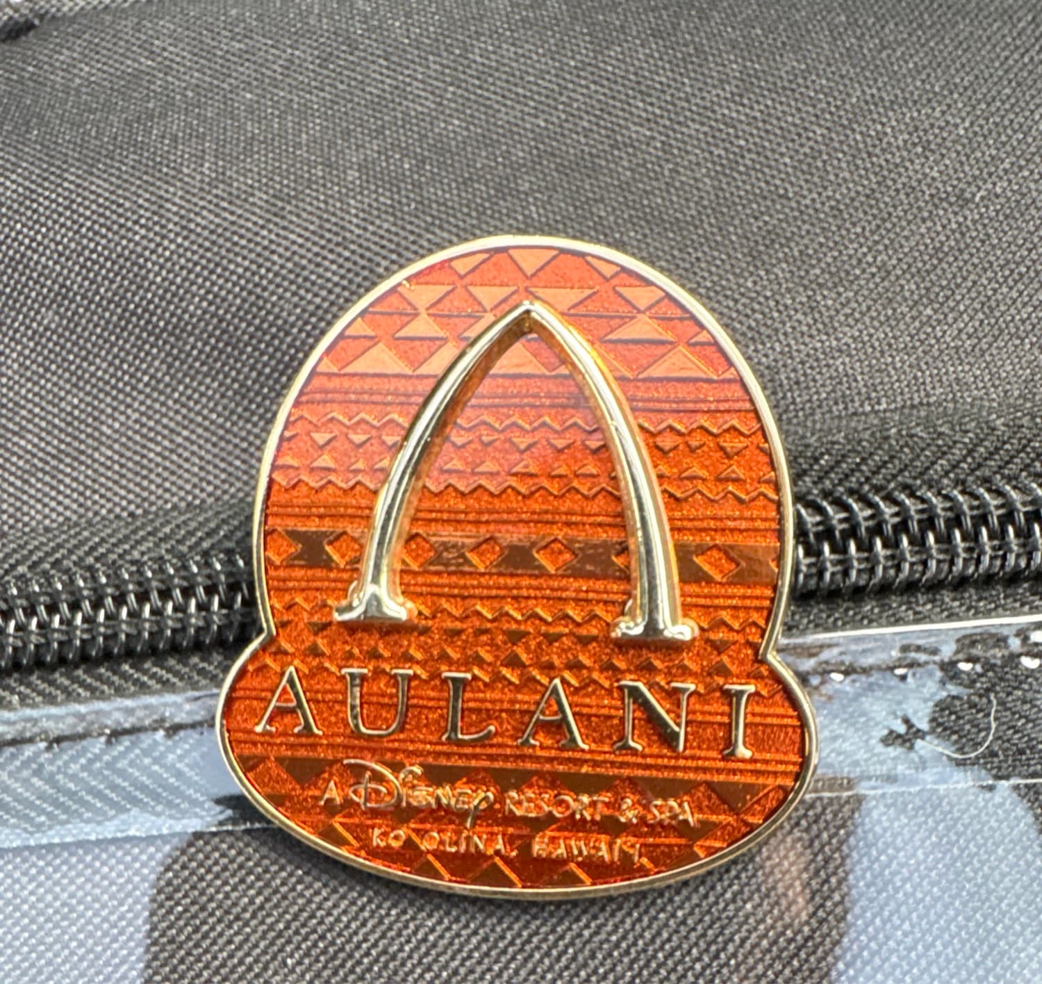 Aulani Resort & Spa Flip Flop Logo Pin