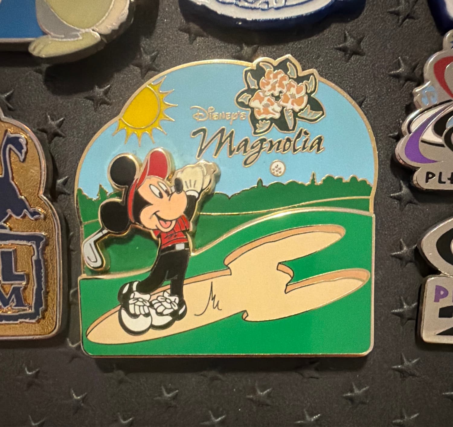 Hidden Disney Series