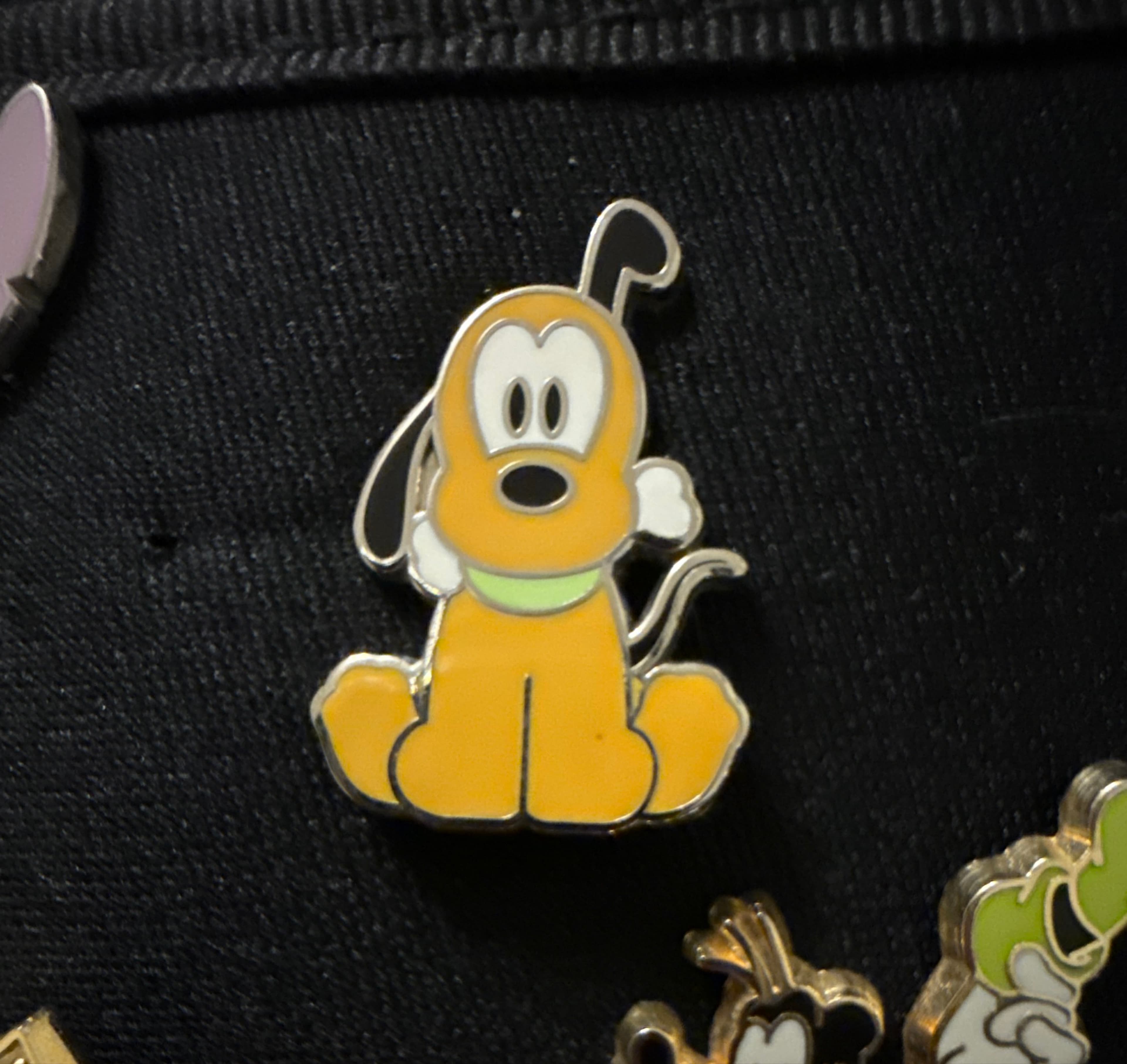 Baby Pluto Sitting with Green Collar front