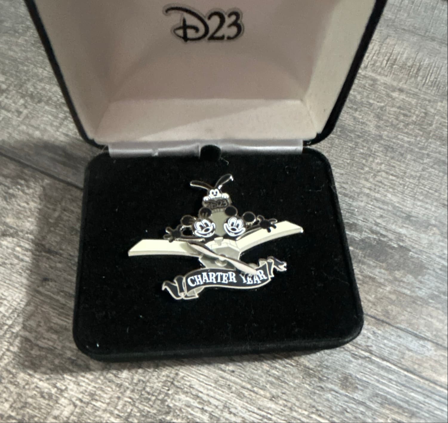 D23 Charter Year Disney pin series