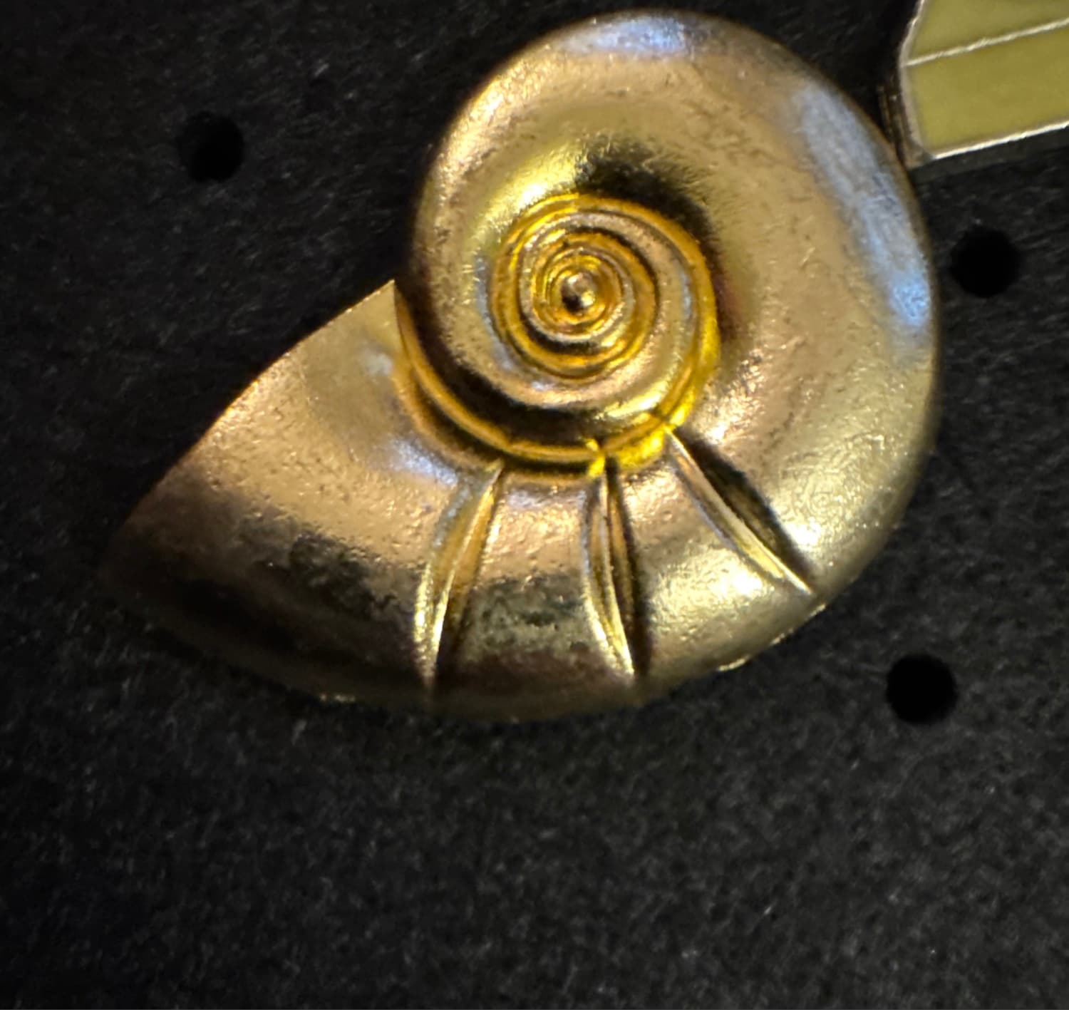 Ariel's Golden Nautilus Shell