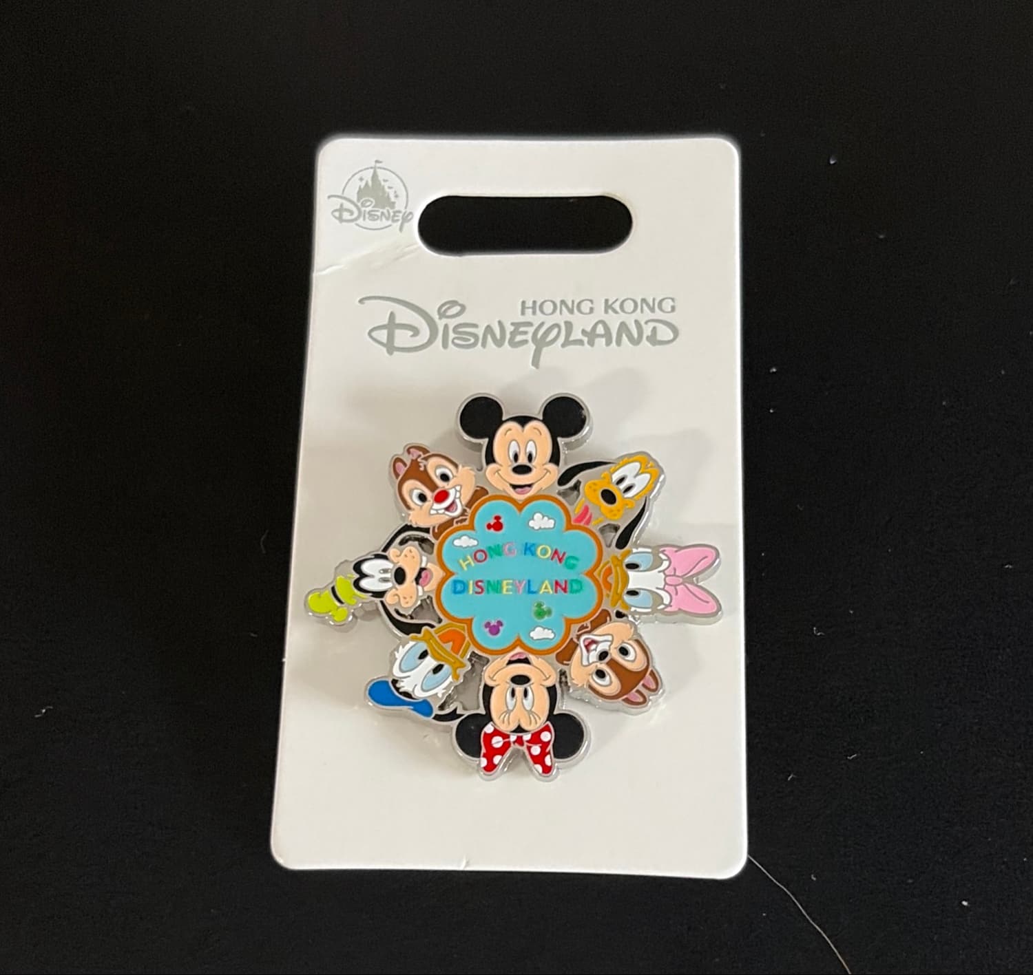Mickey & Friends "Hong Kong Disneyland" Pin