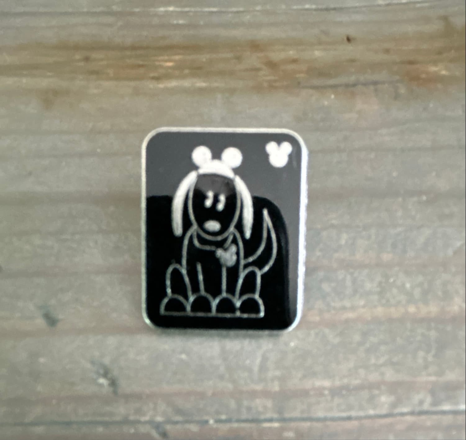 Family Dog with Mouse Ears