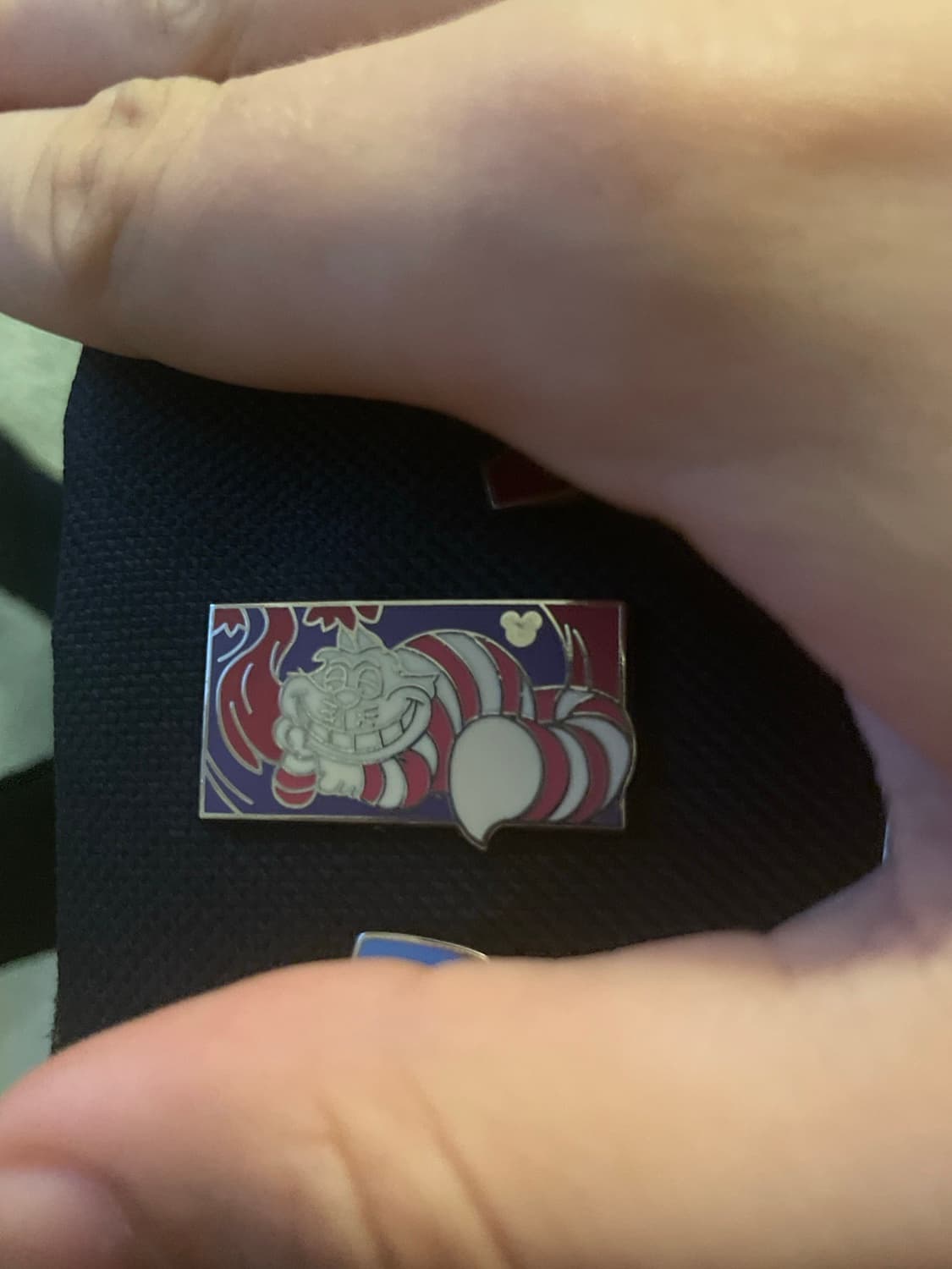 Disney Pin Alice In Wonderland Comics Cheshire Cat 2011 front