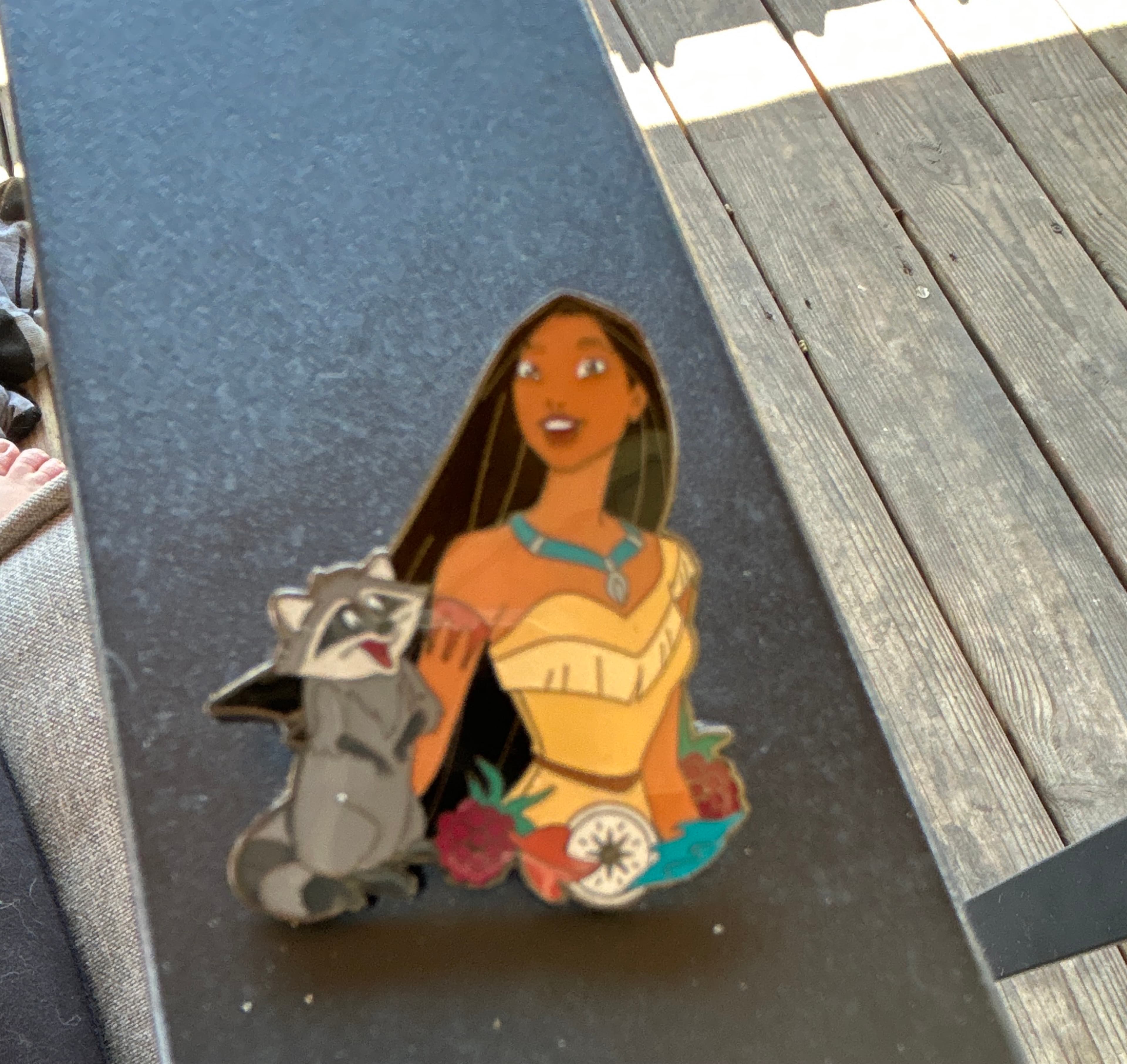 Pocahontas and Meeko - Compass - Princess and Sidekick - Mystery front