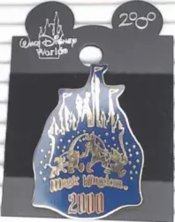 Magic Kingdom Dated Pins