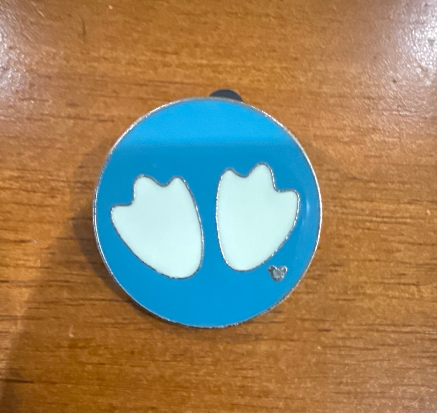 Donald Duck Footprints Hidden Mickey Pin front