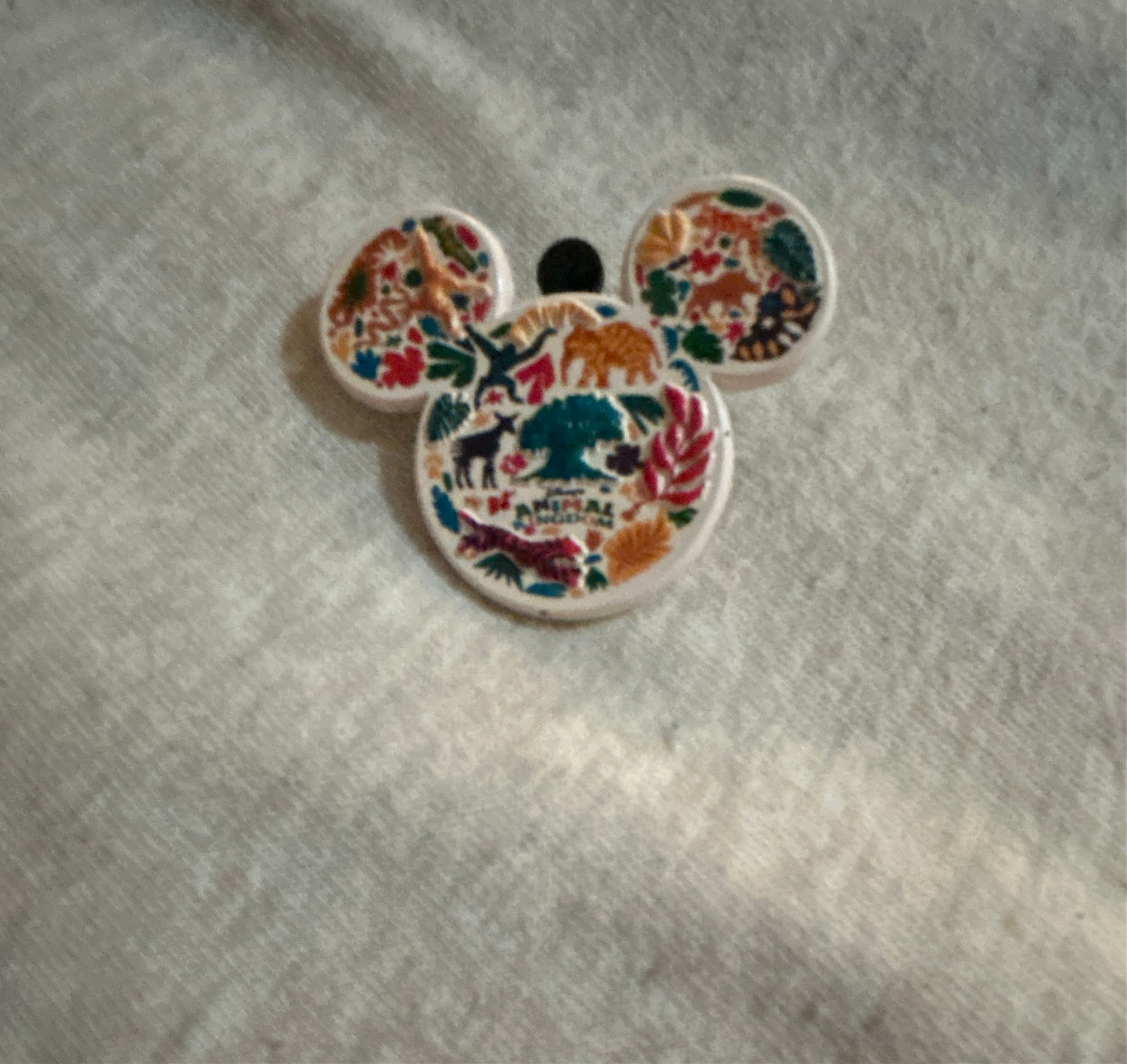 Colorful Animal Kingdom Mickey-Head Icon Pin