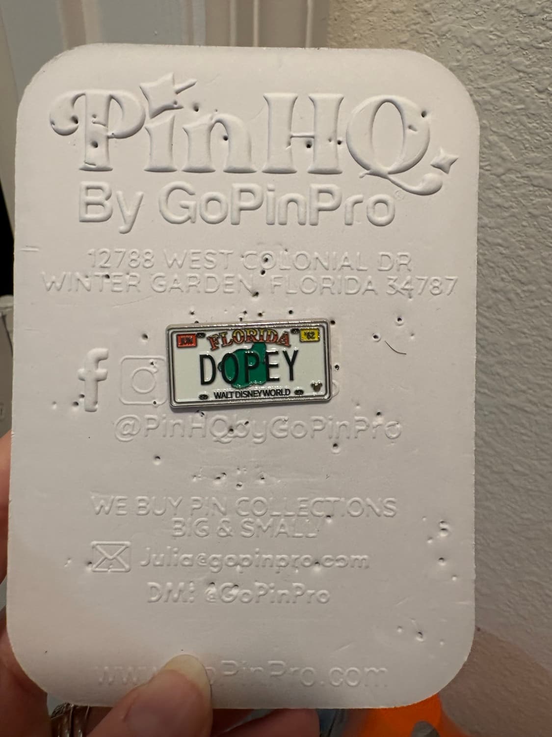 Dopey Florida License Plate Hidden Mickey Pin front