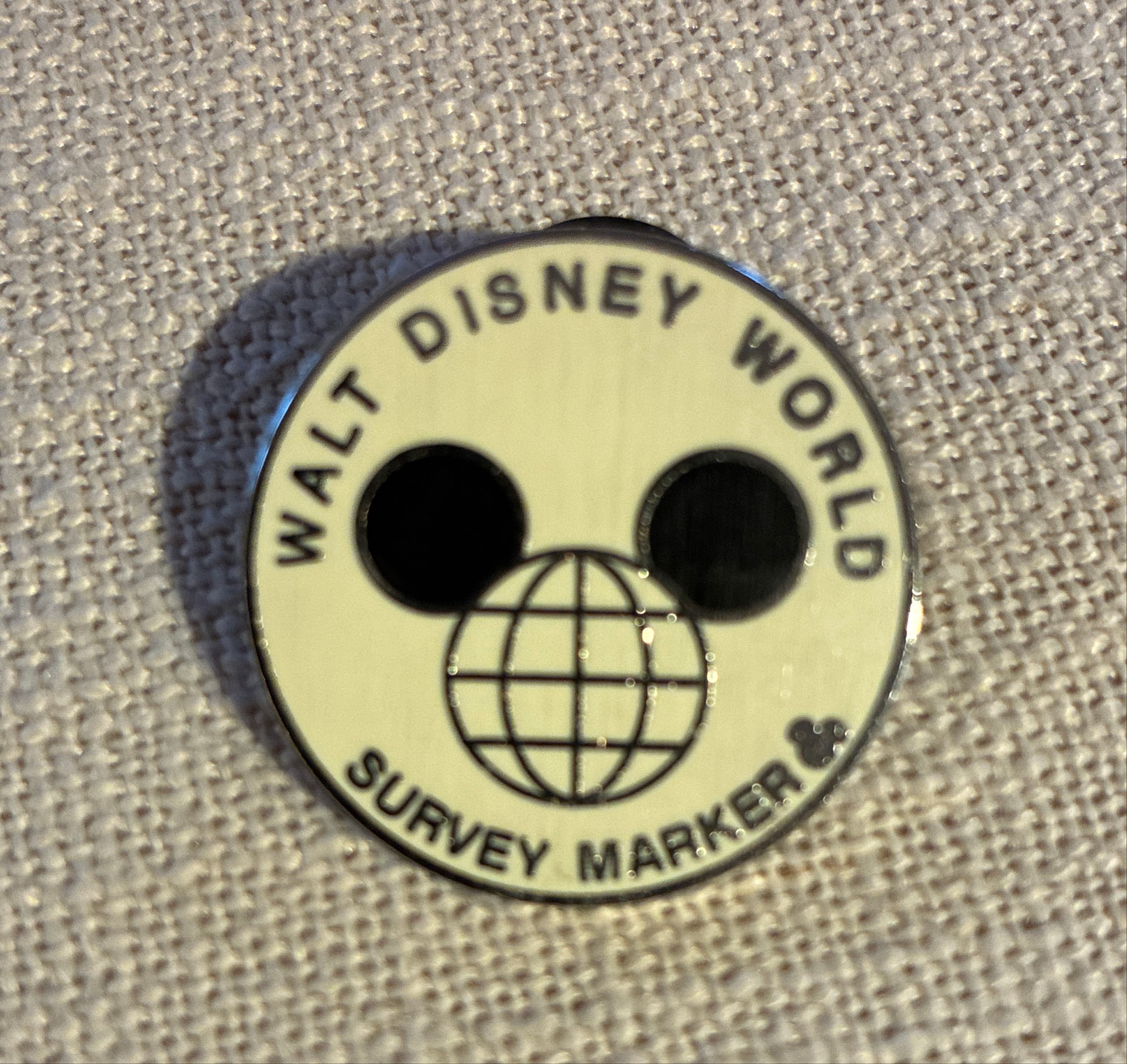 Hidden Mickey - Fun Icons