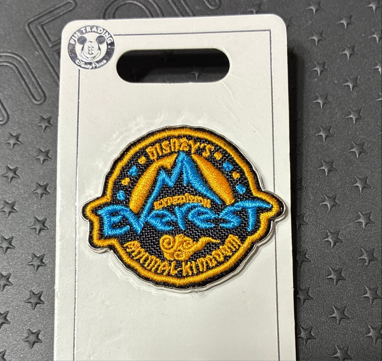 Disney Pin - Expedition Everest Animal Kingdom Logo