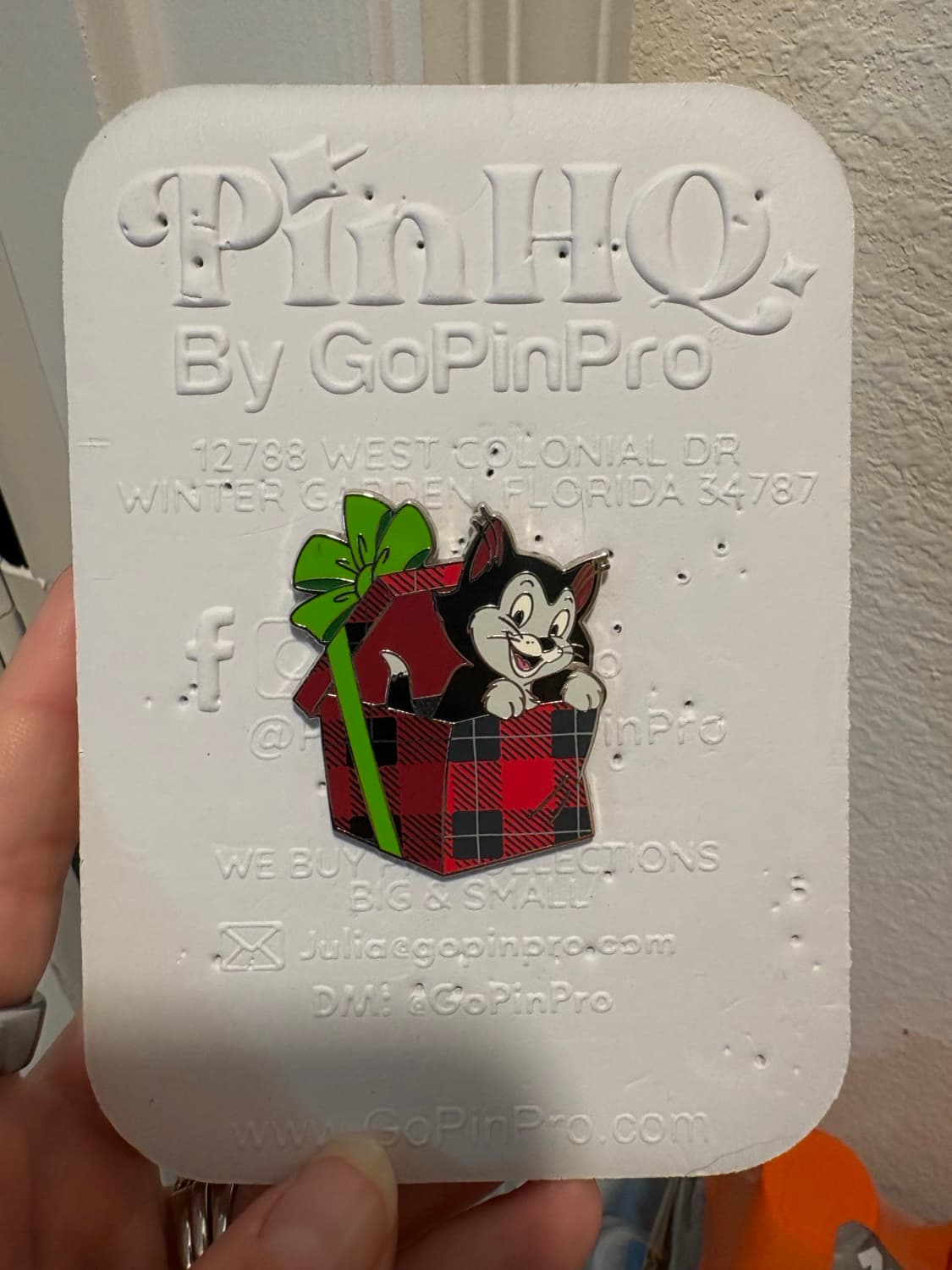 Figaro with Christmas gift