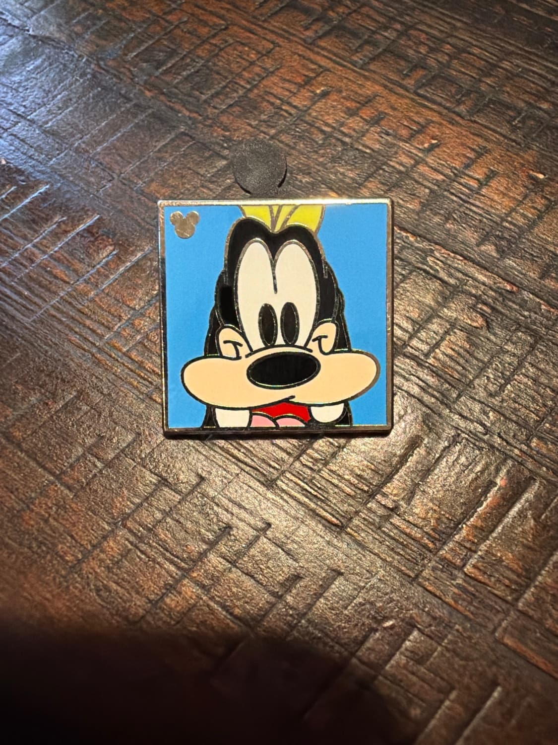 Hidden Mickey 2012 DLR - Faces - Goofy