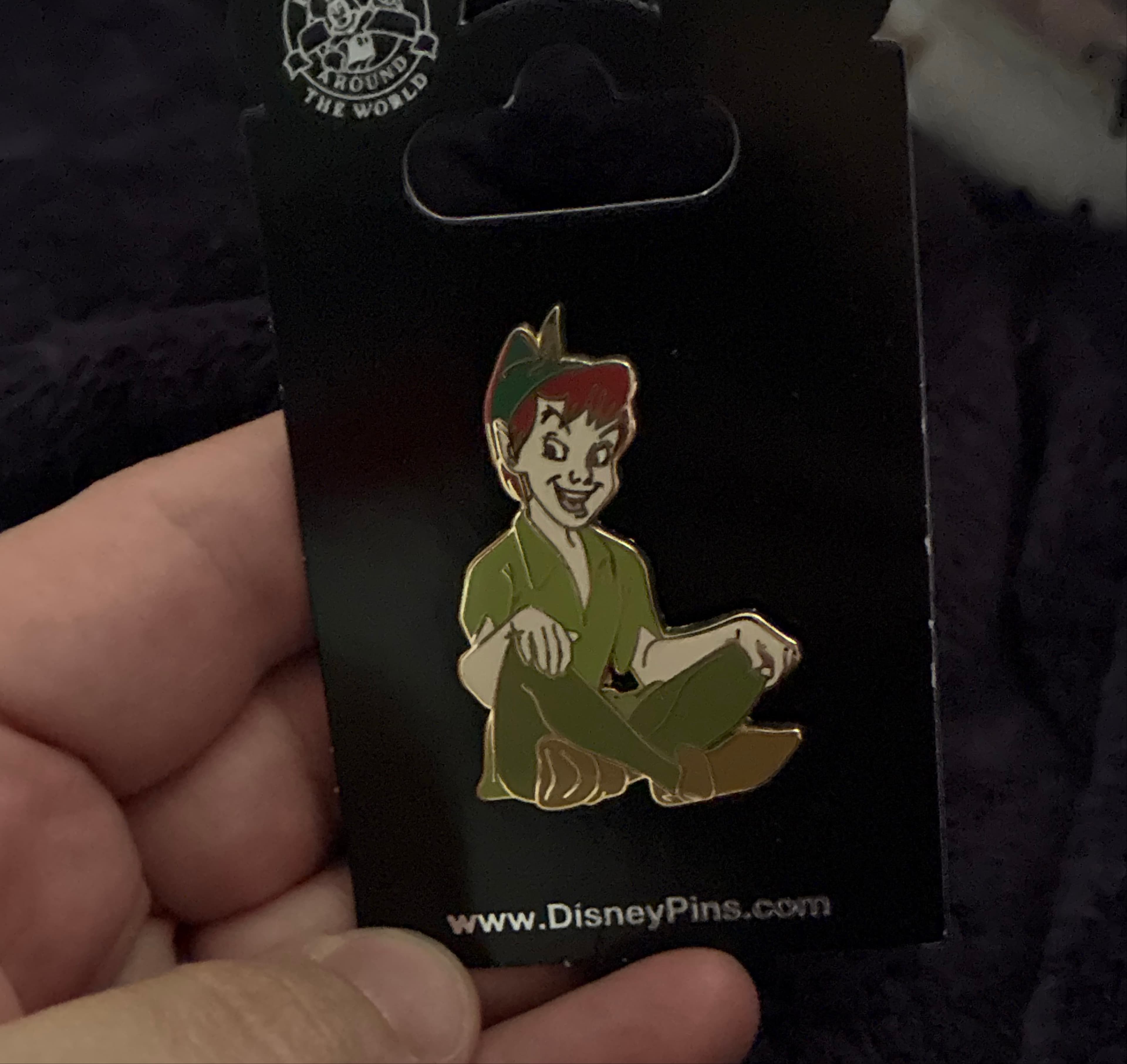 Pin Trading Around the World (Hidden Mickey)