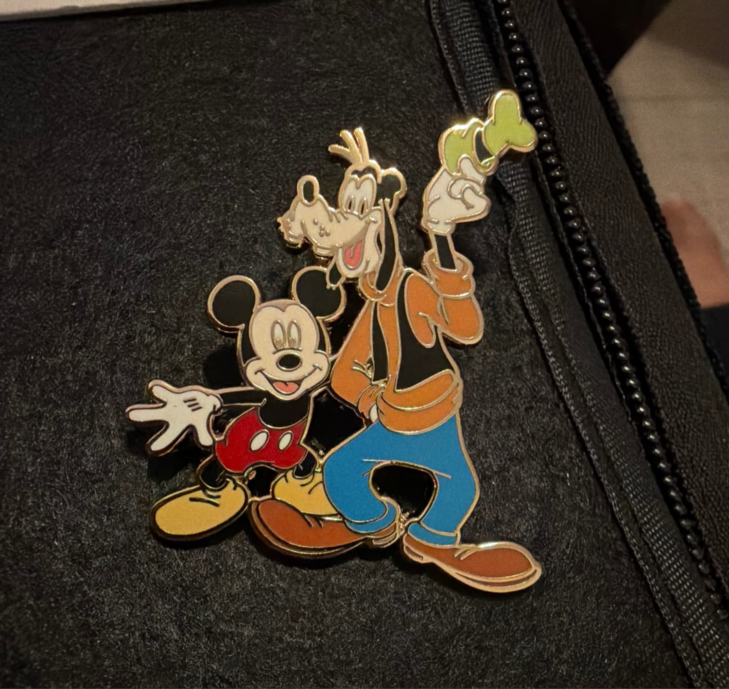 Mickey & Goofy Friends Are Forever
