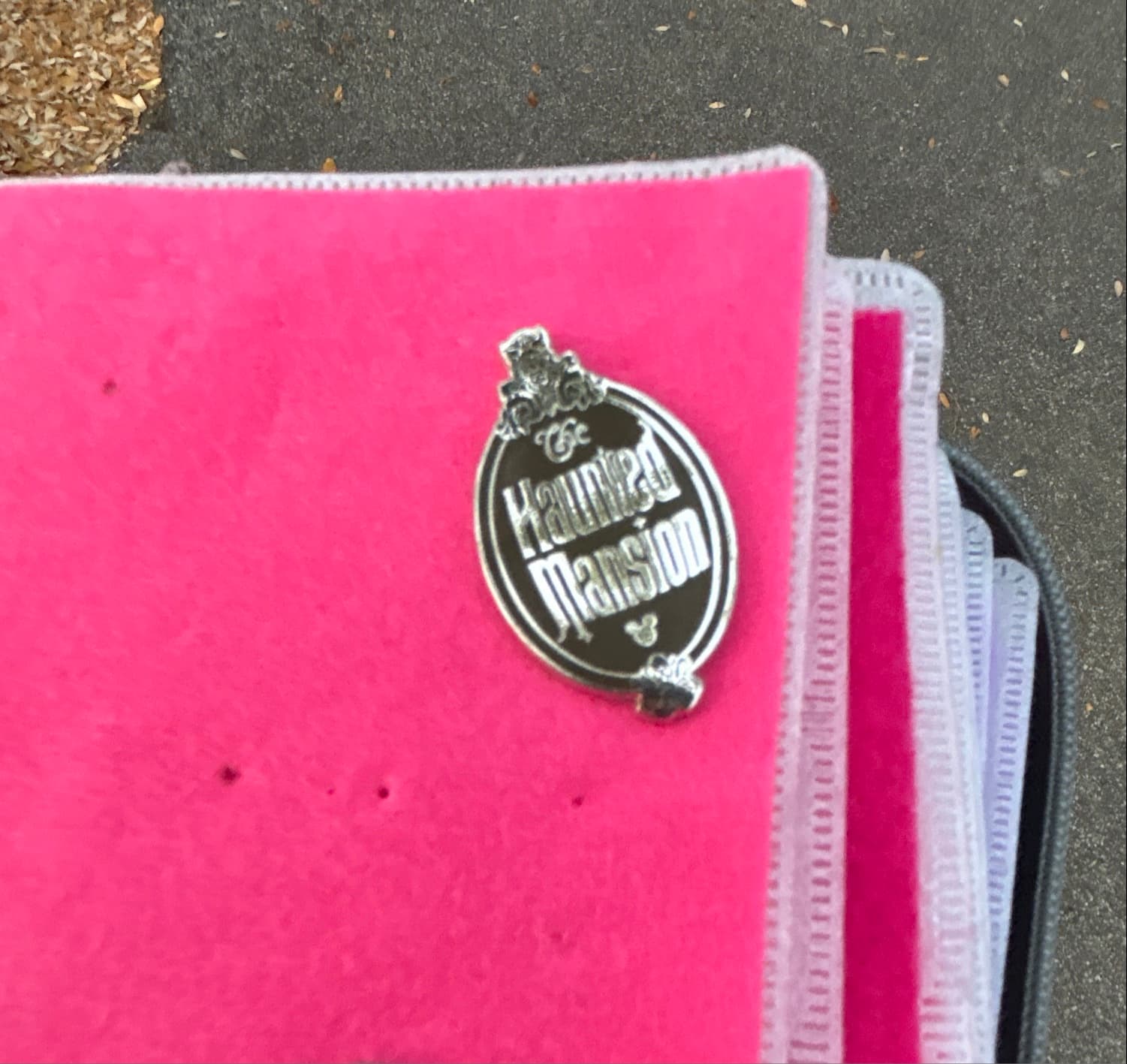 2019 Hidden Mickey Series - Stylized Attractions