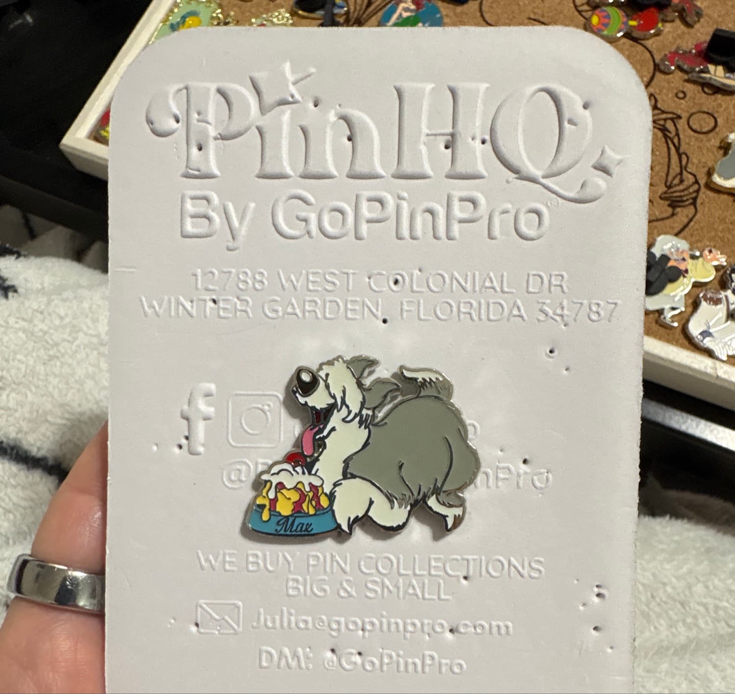 Disney's Food-D's Series