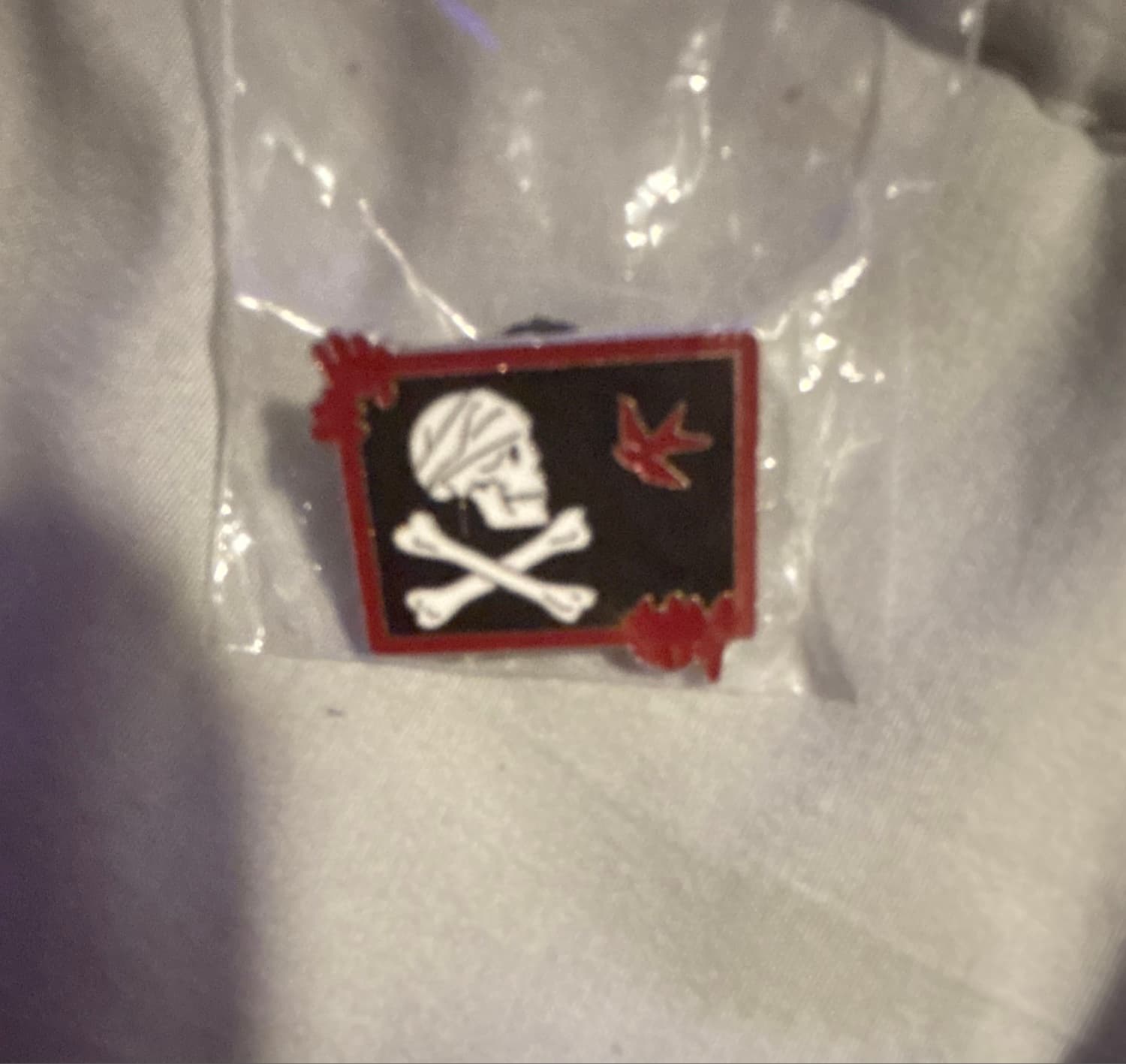 Pirates of the Caribbean Skull and Crossbones with Red Bird and Bat Wings