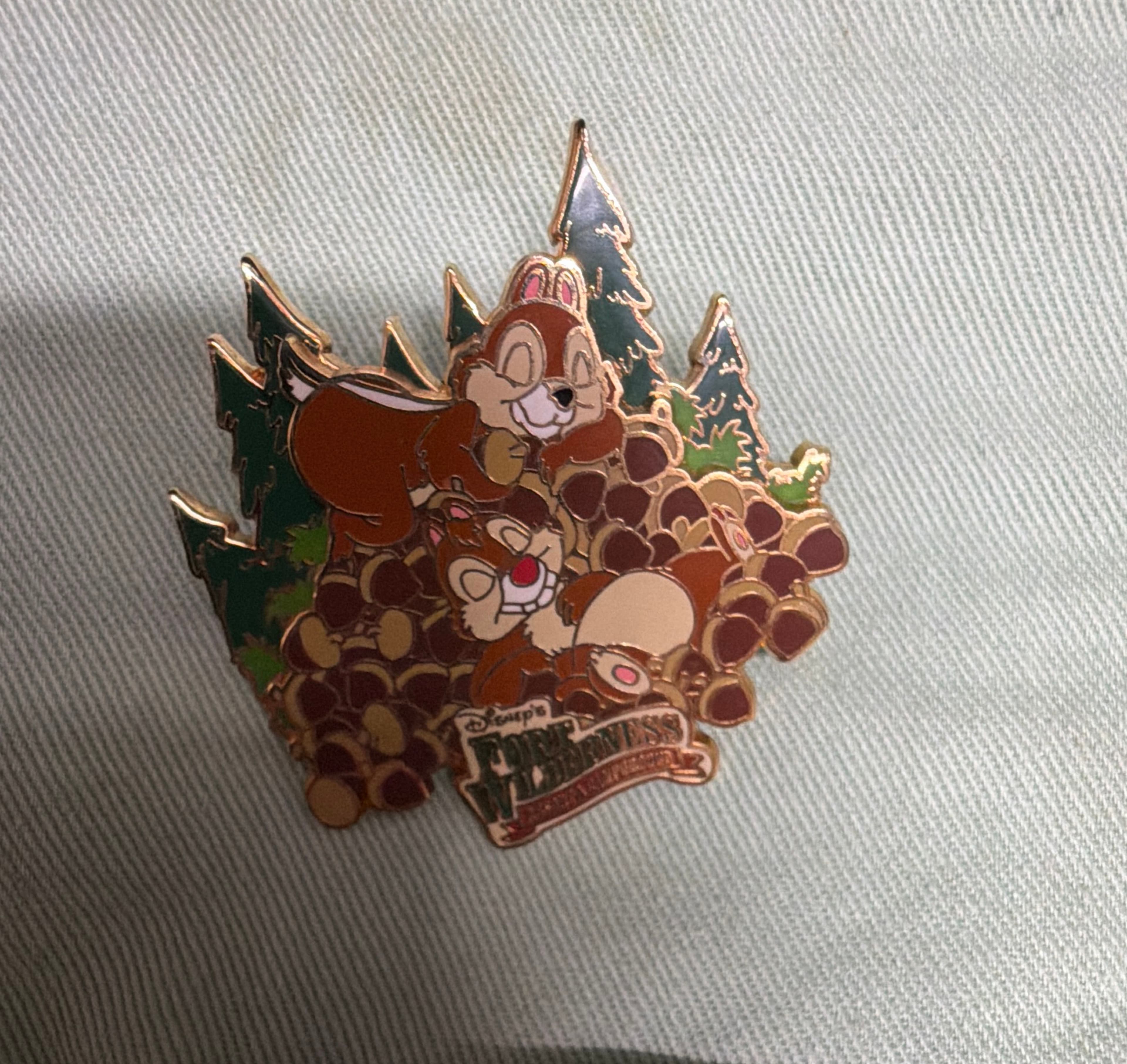 Chip & Dale at Fort Wilderness front