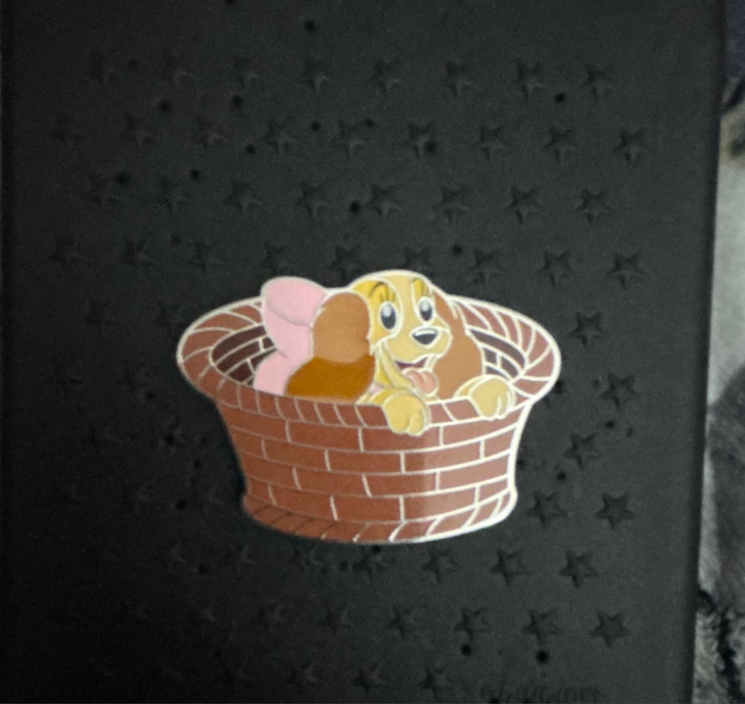 Baby Lady in basket front