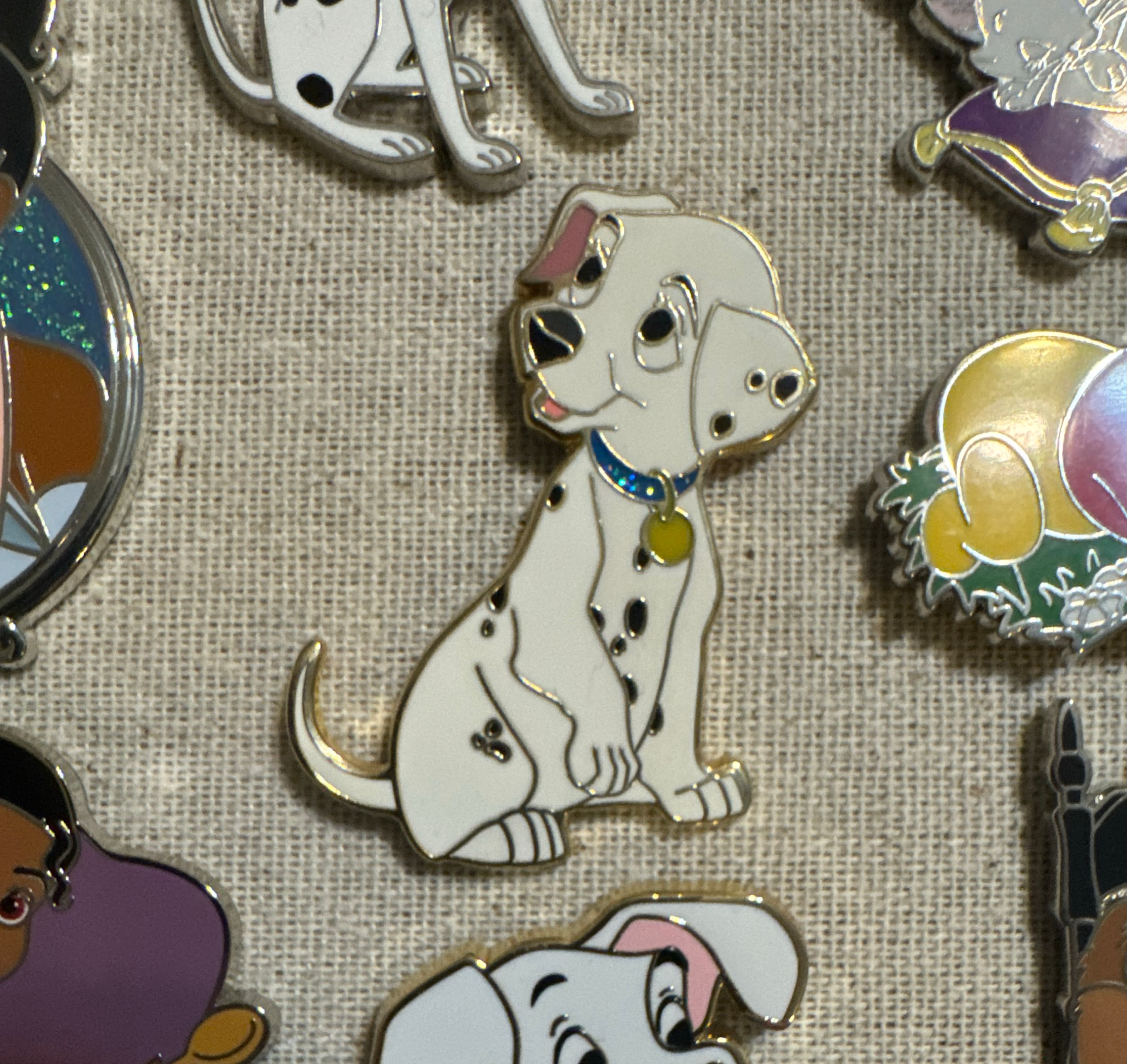 Dalmatian Puppy Penny Sitting with Blue Collar