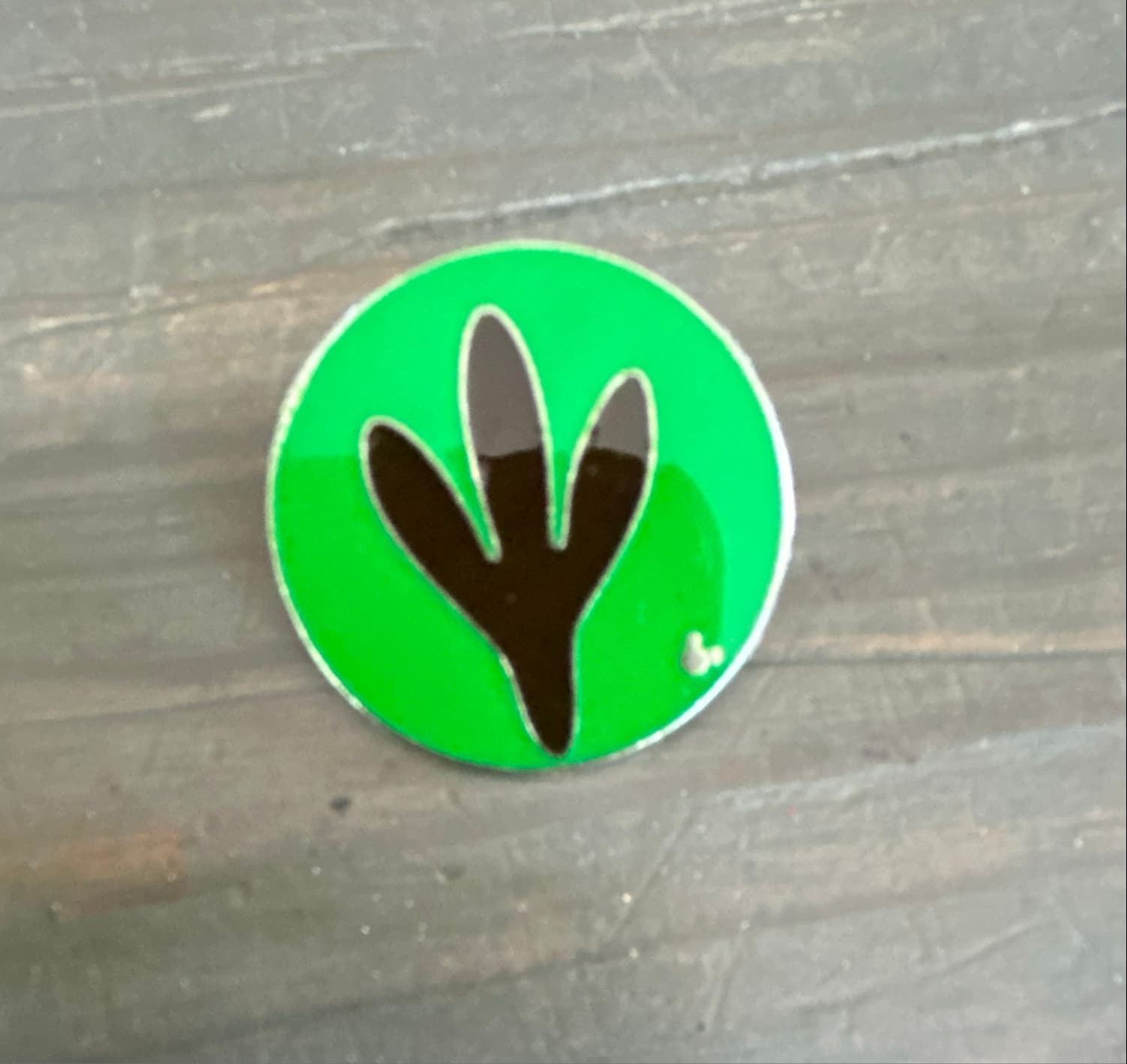 Hidden Mickey Pin 3 of 4