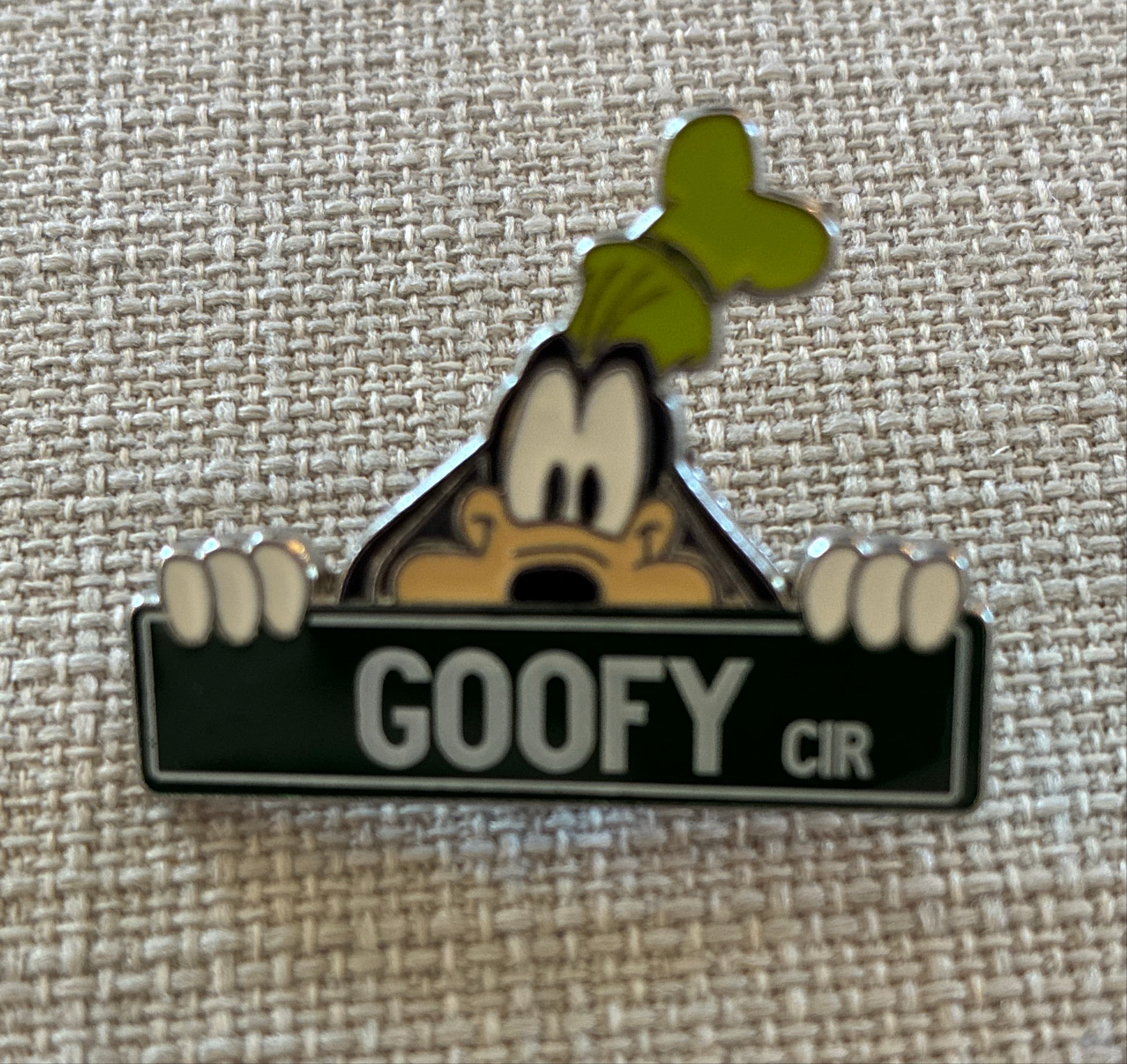 Goofy Cir - Street Signs Mystery Box