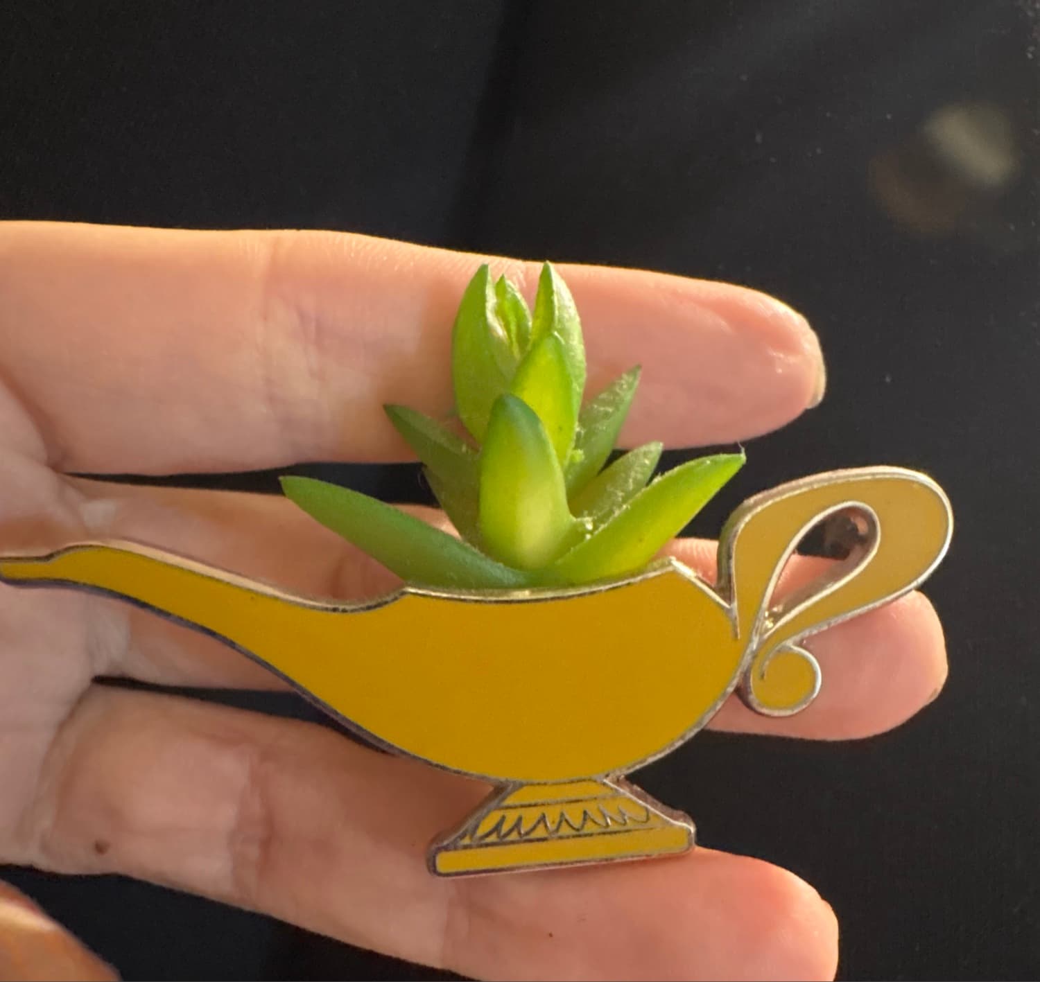Disney Parks Succulent Series