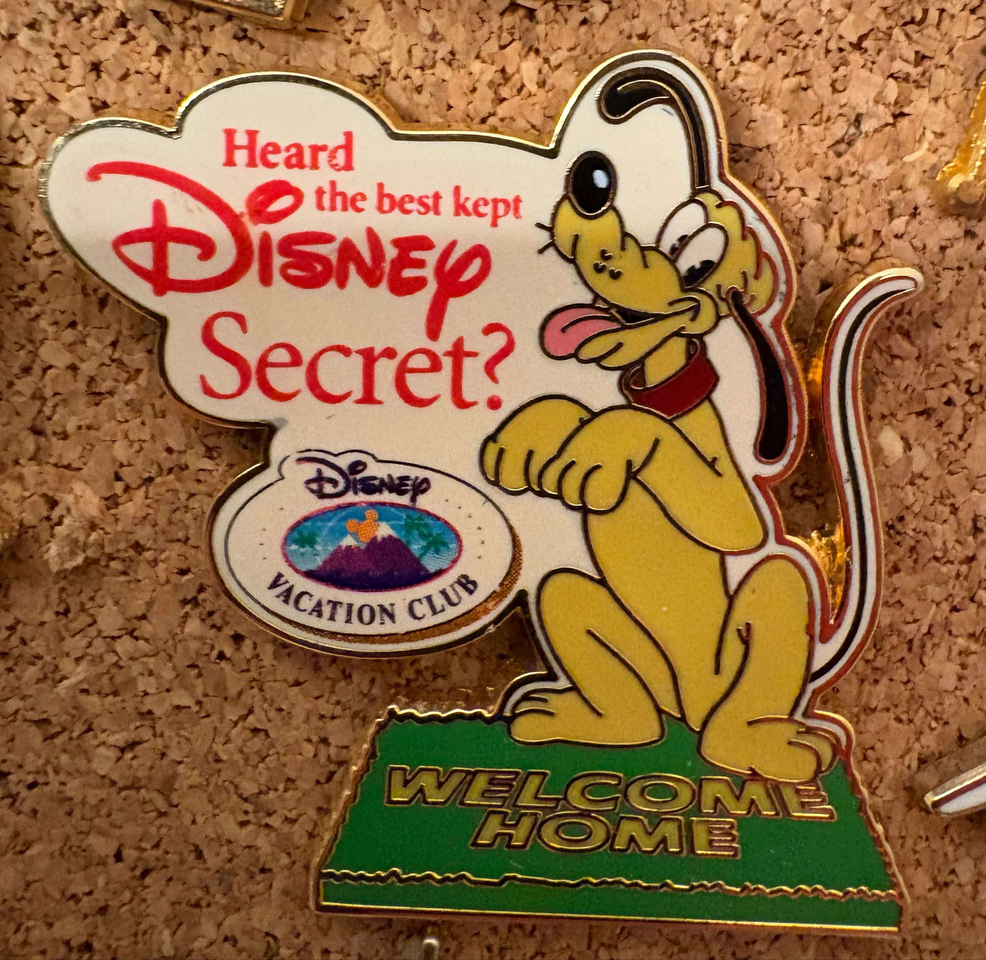 Disney Vacation Club - Heard the Best Kept Secret?