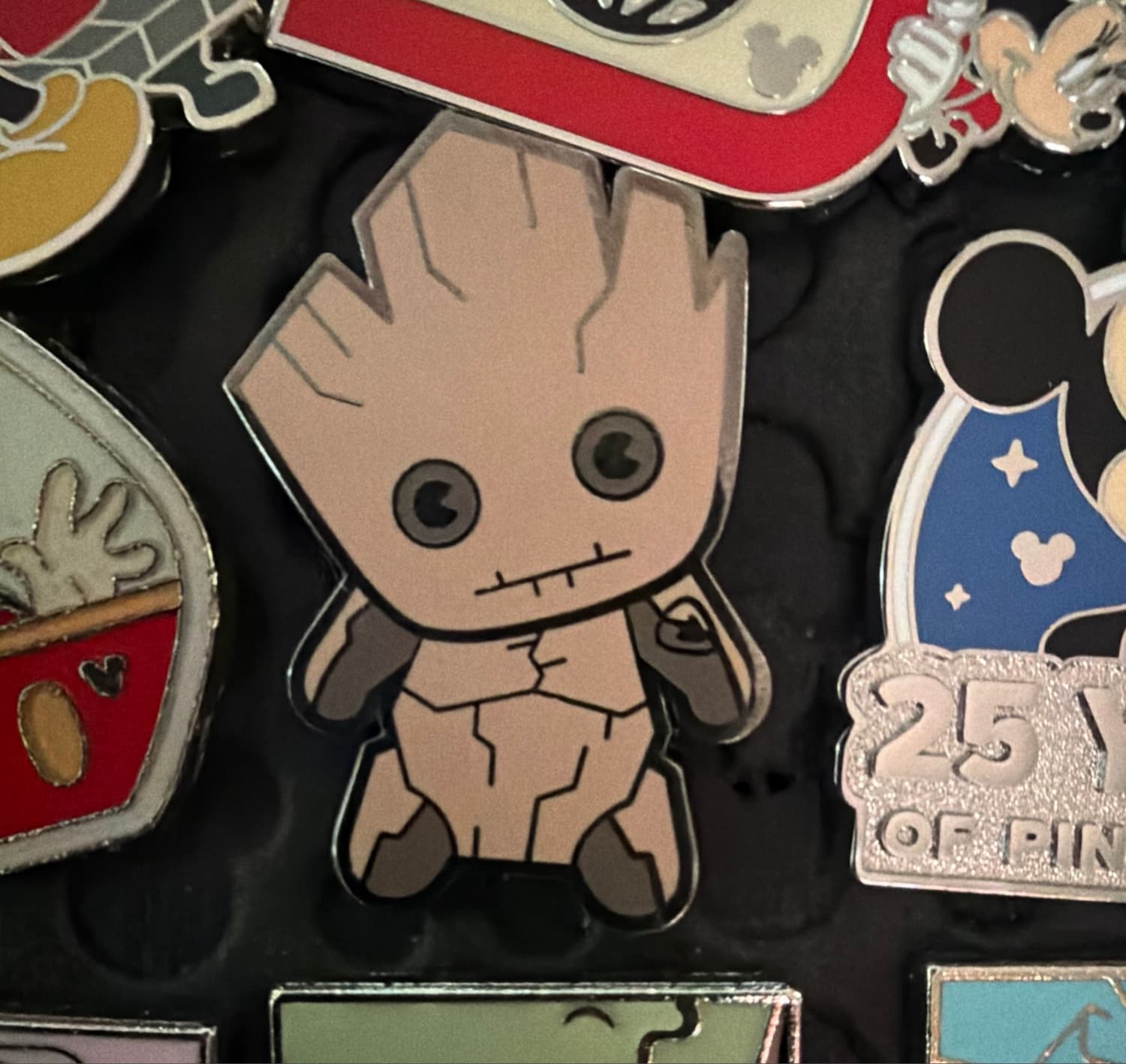 I Am Groot with Succulent Plant front