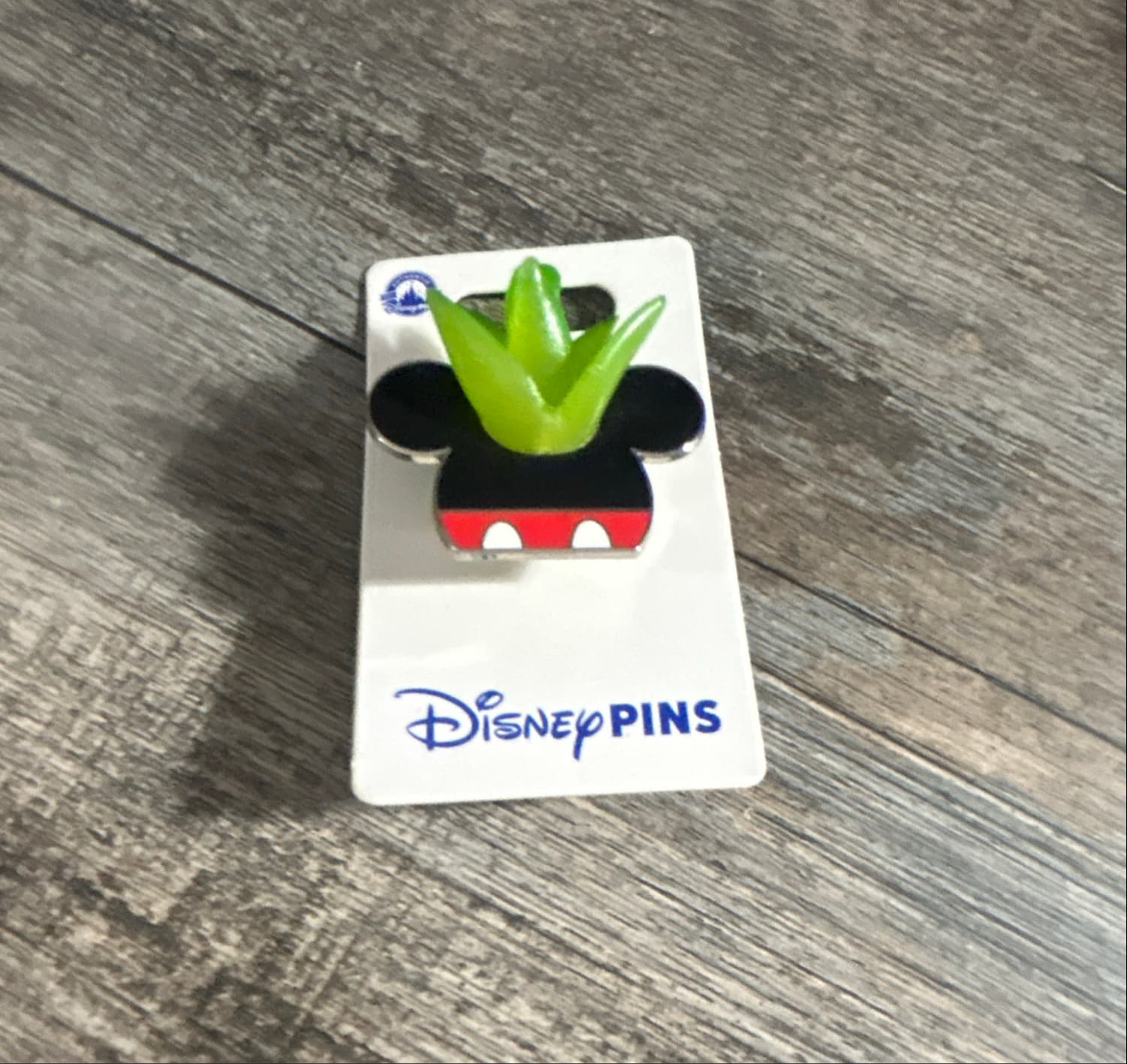 Mickey Mouse Succulent Pin front