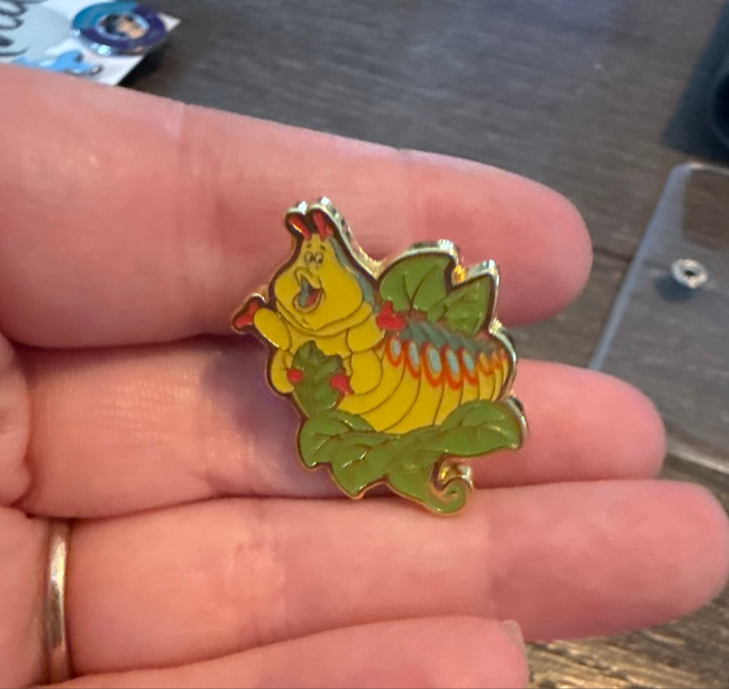Heimlich Eating a Leaf Pin