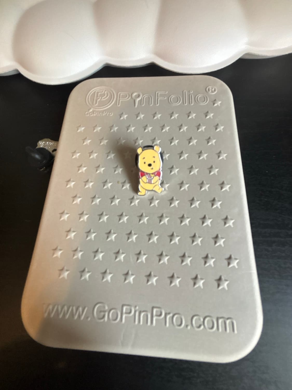 PALM Micro Mystery Pin Series