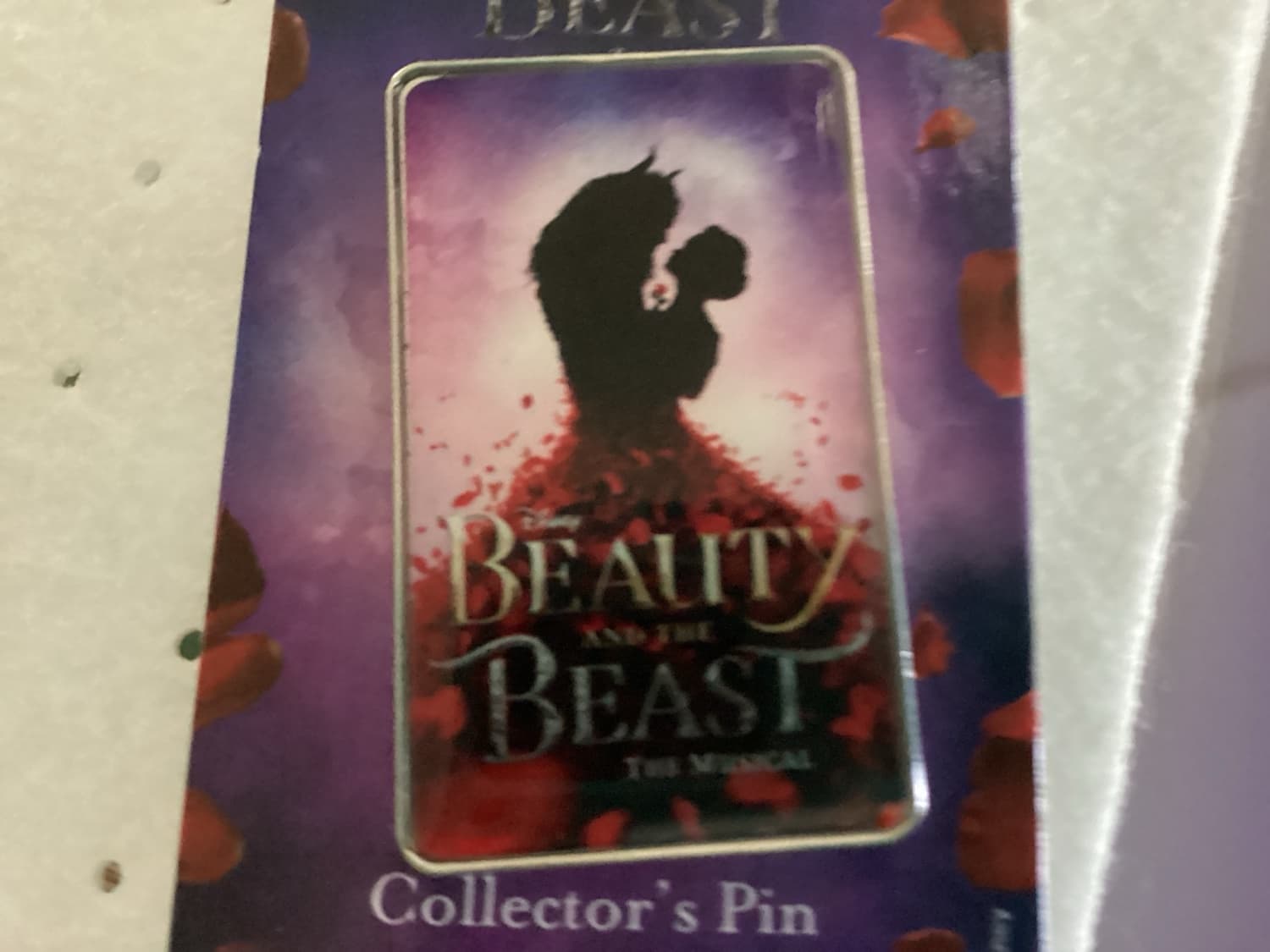 Belle and Rose in Ornate Frame Beauty and the Beast Pin front