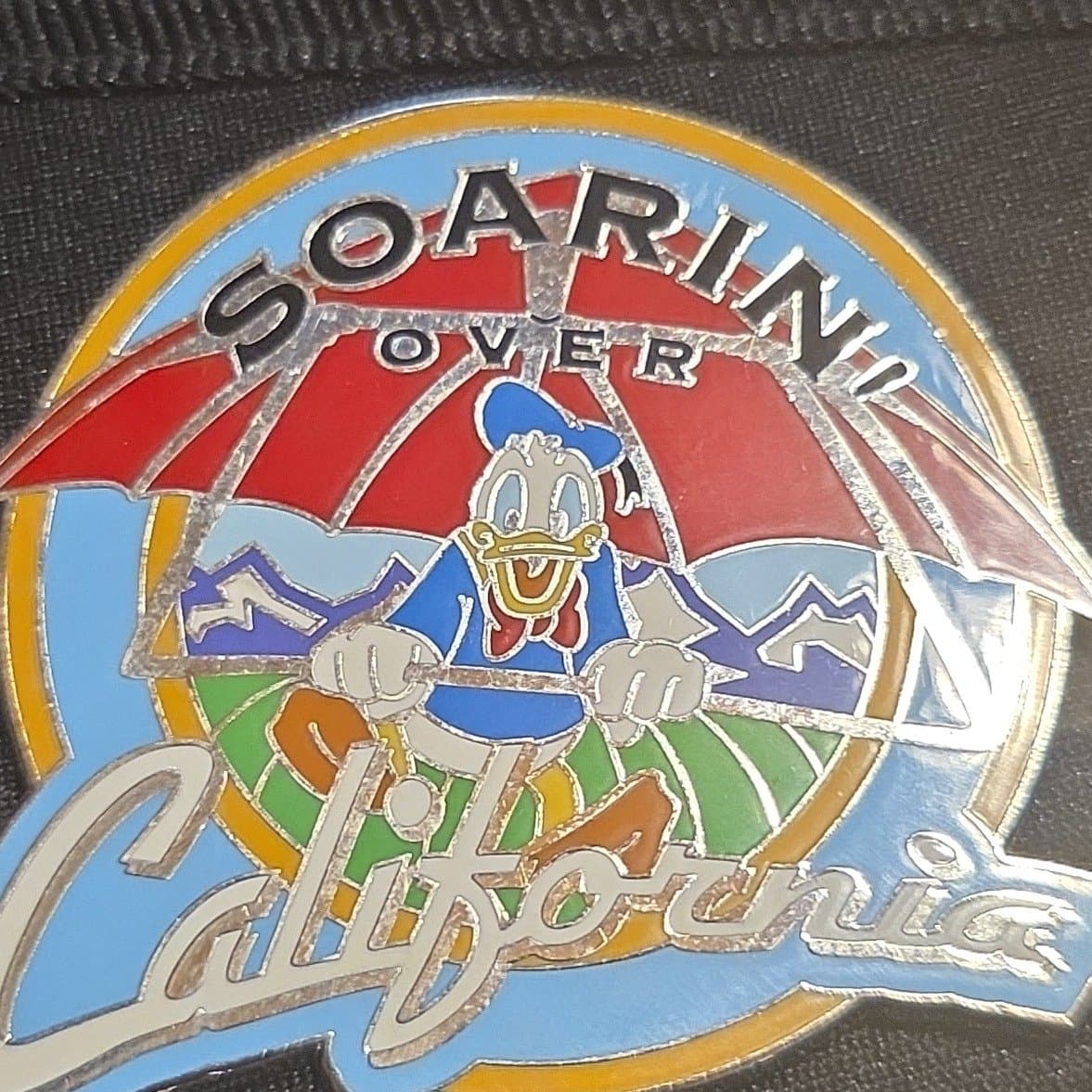 Soarin' Over California - Donald Duck
