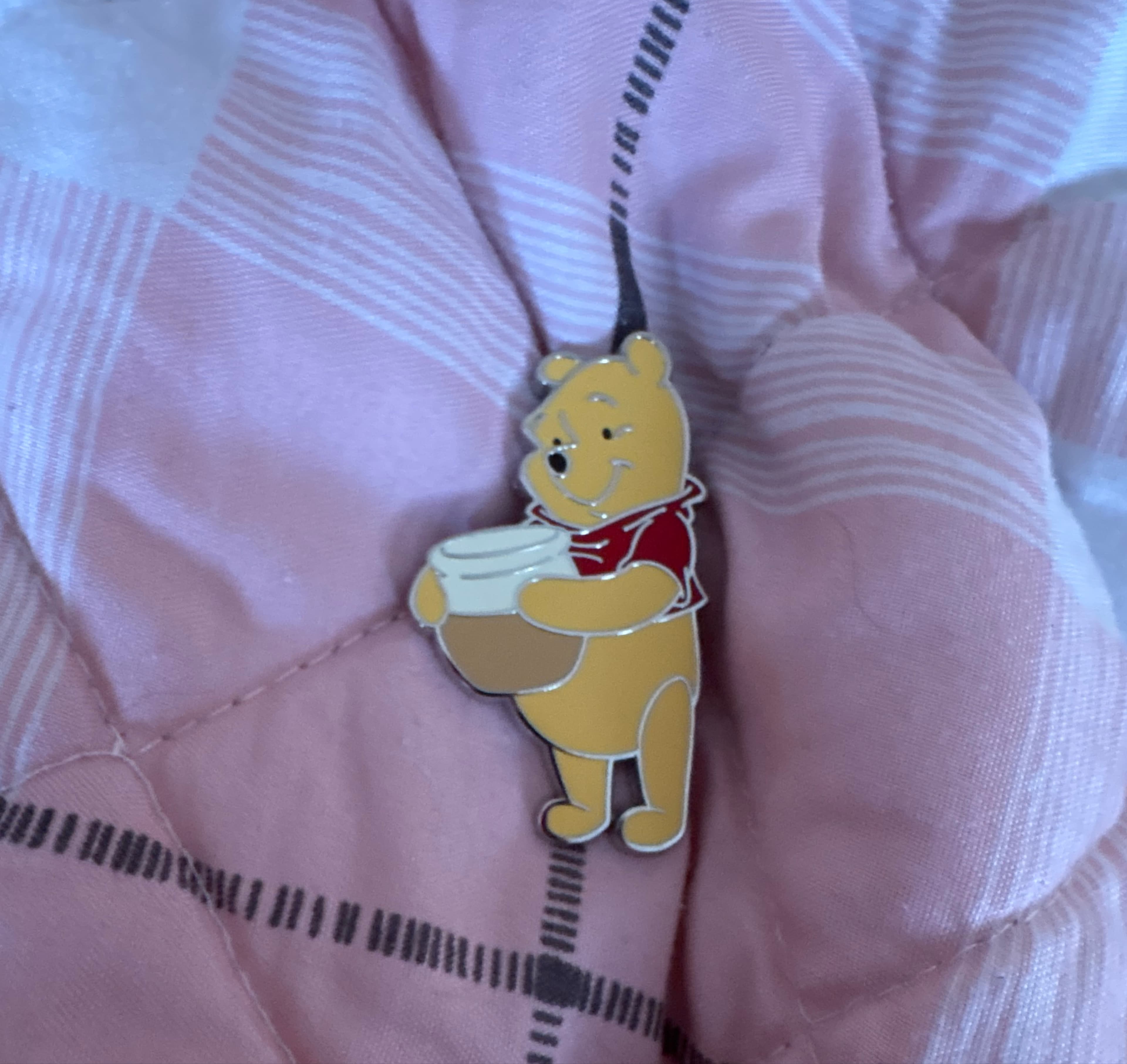 Winnie the Pooh Holding Honey Pot front
