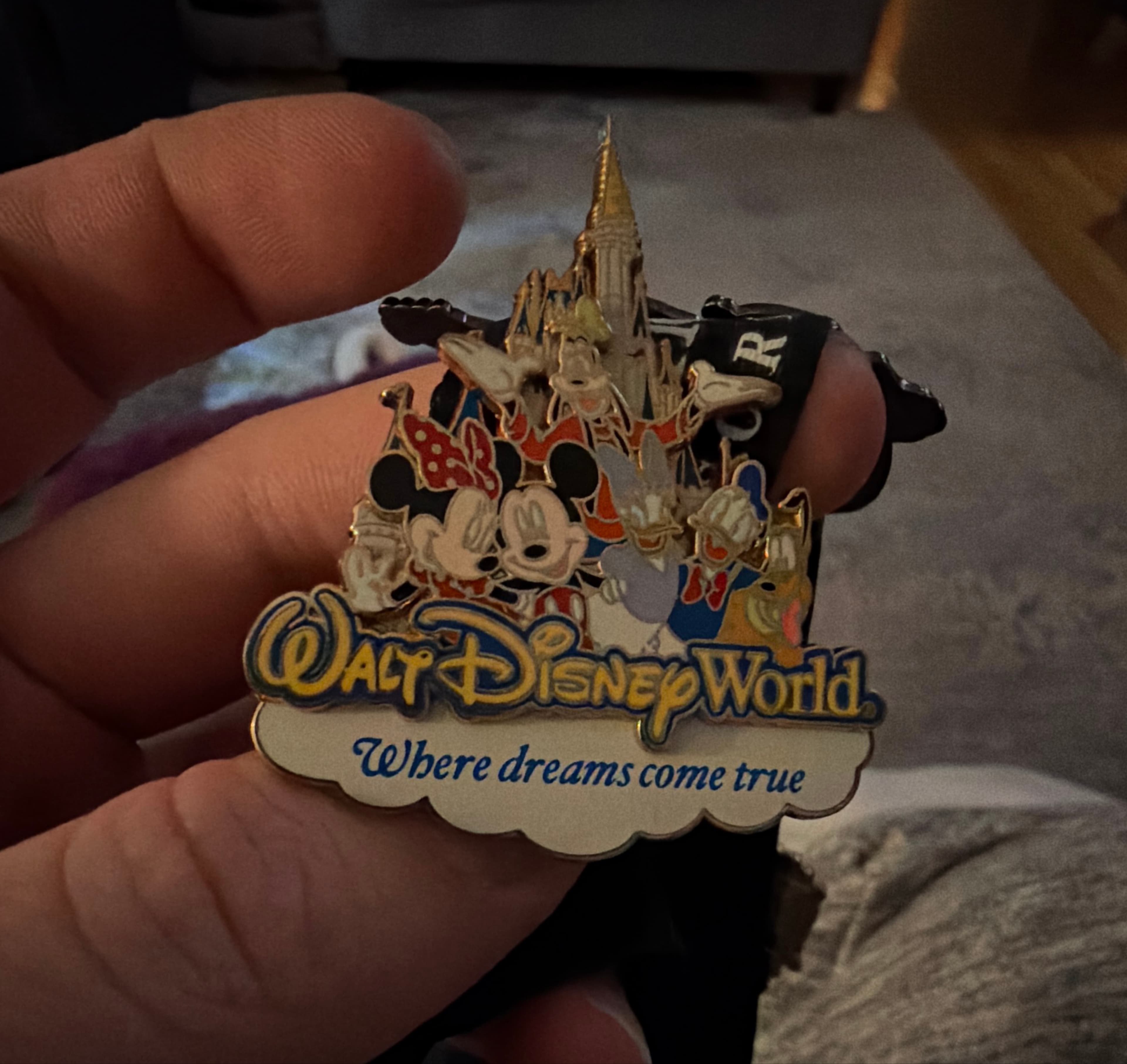 Where Dreams Come True / Disney Dream Collection
