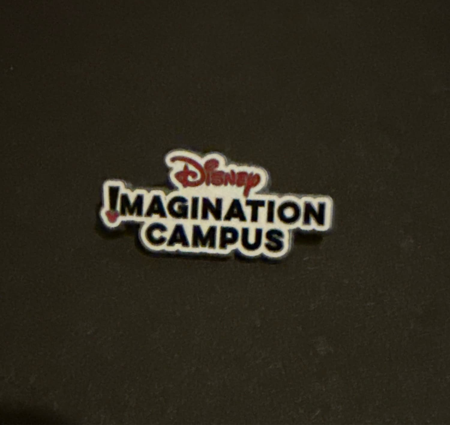 Imagination Campus Logo Pin