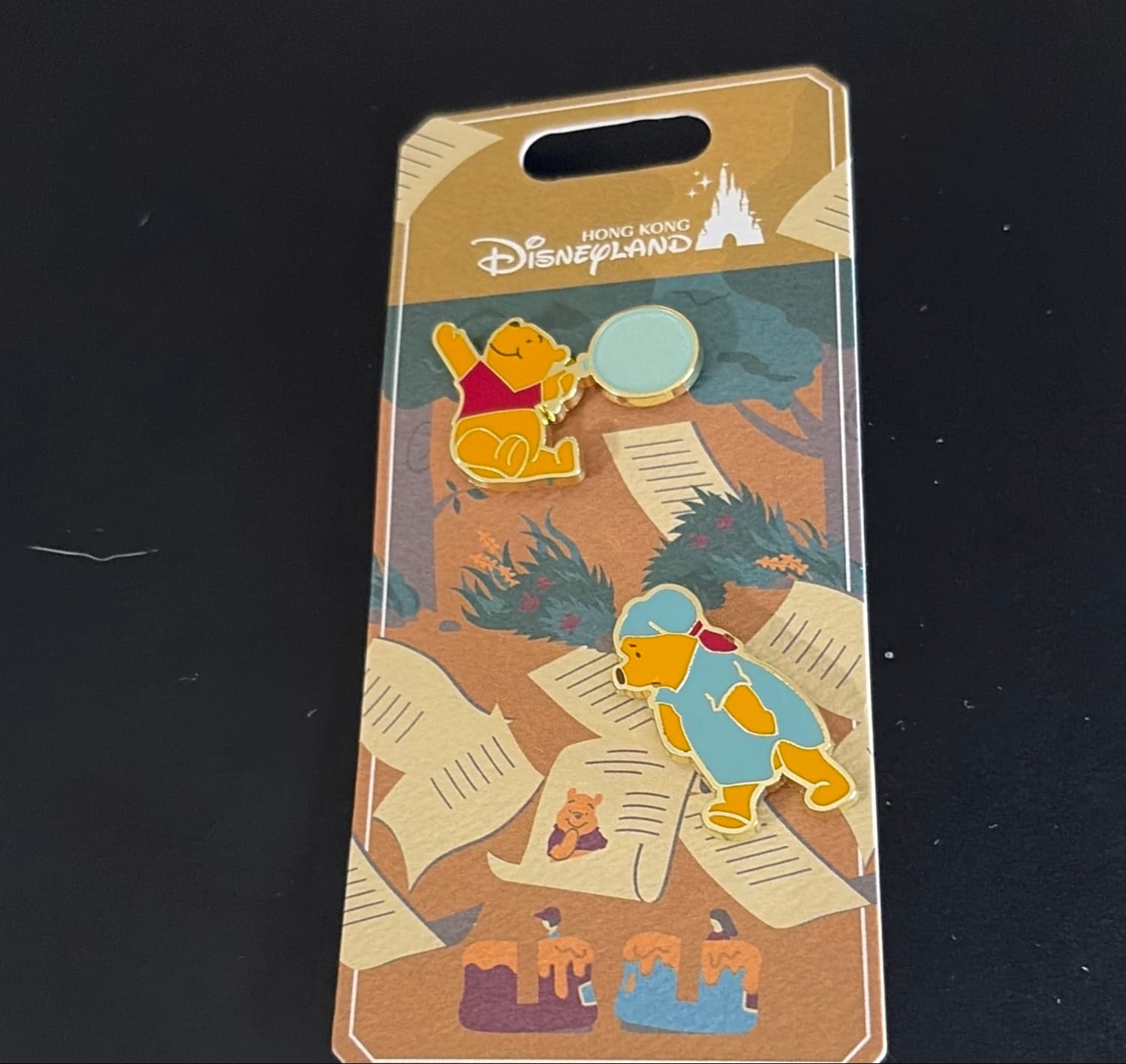 The Many Adventures of Winnie the Pooh