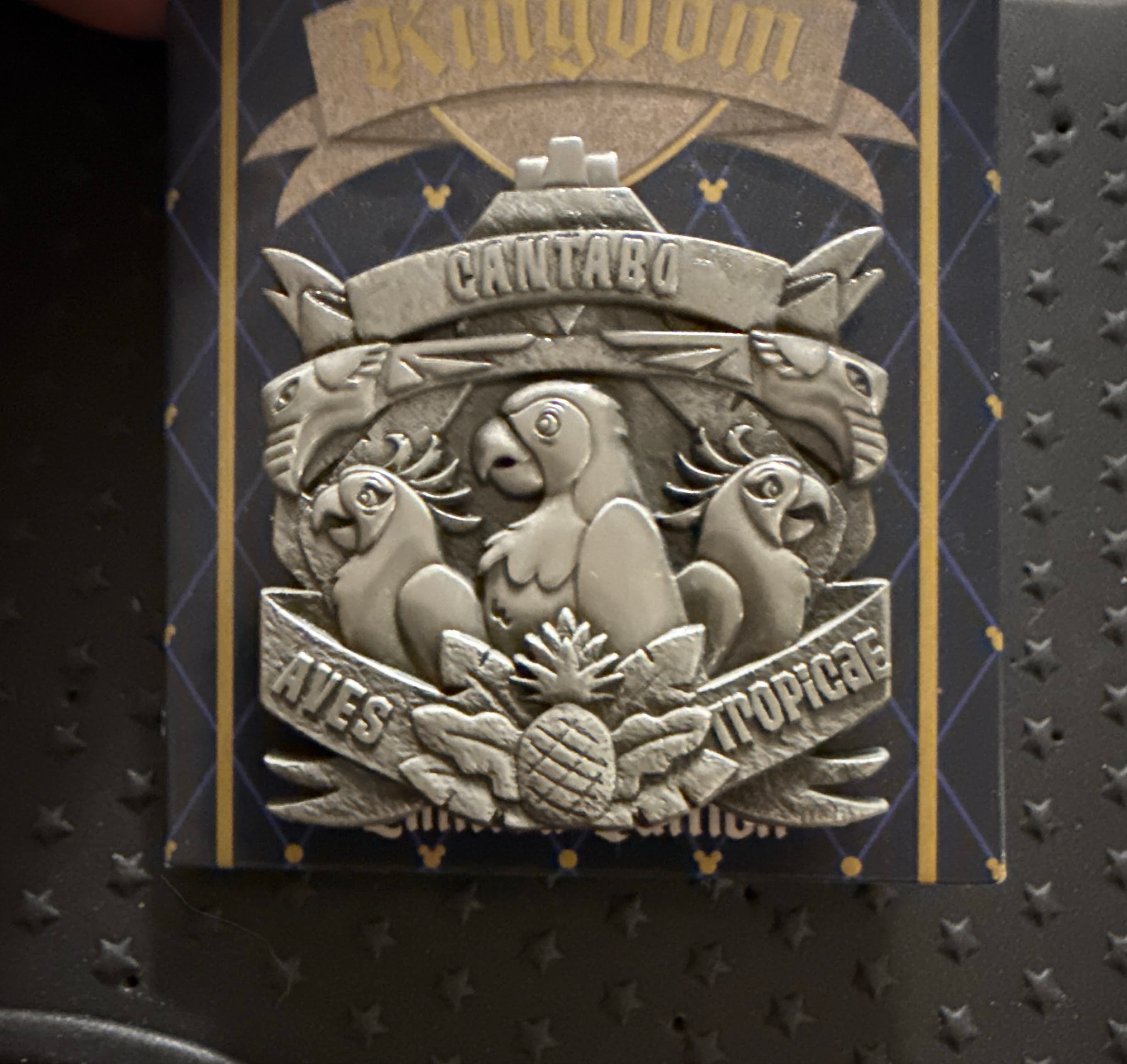 The Enchanted Tiki Room (Aves Tropicae Cantabo) Pin