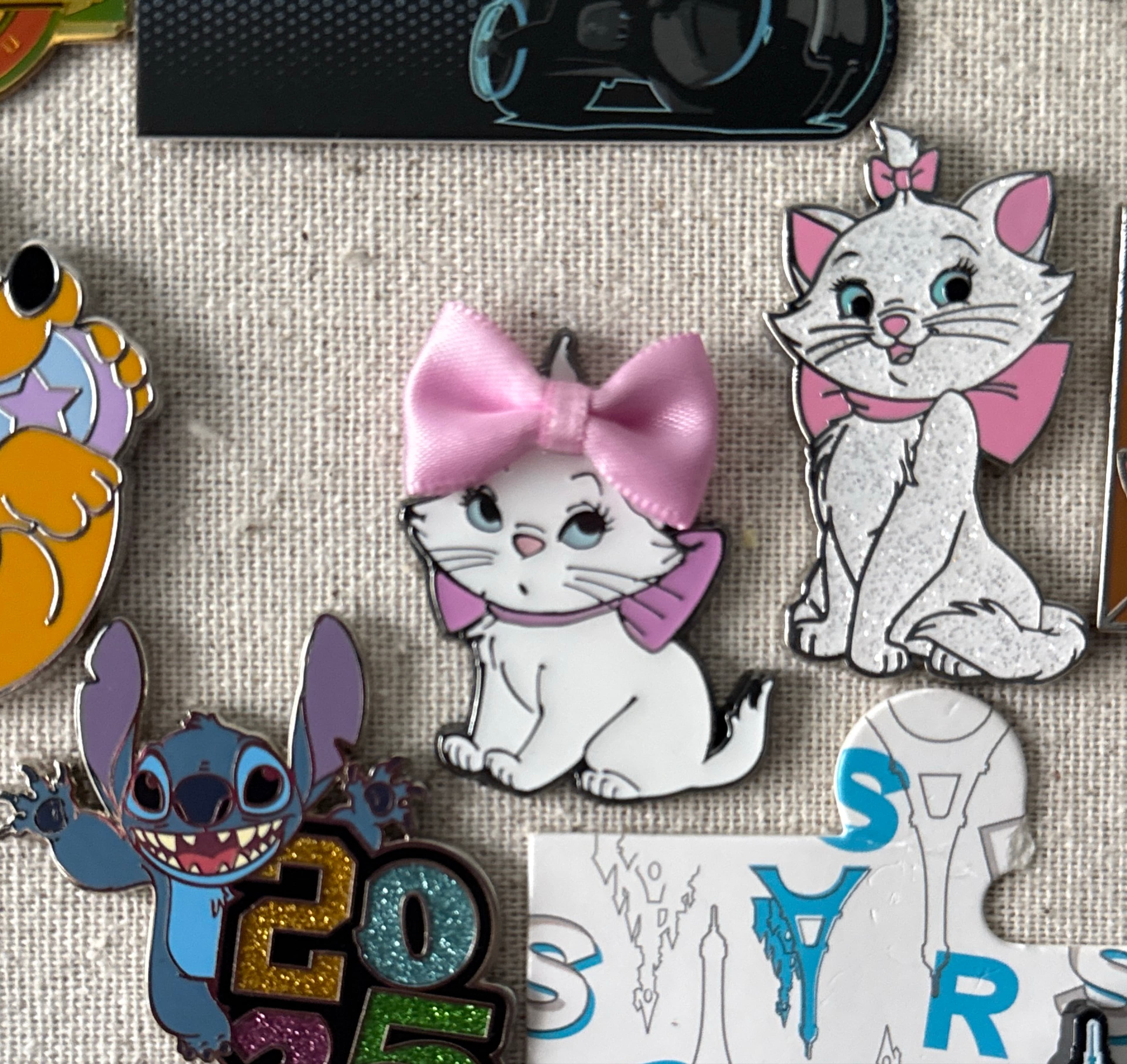 Sculpted Acrylic Pin Series