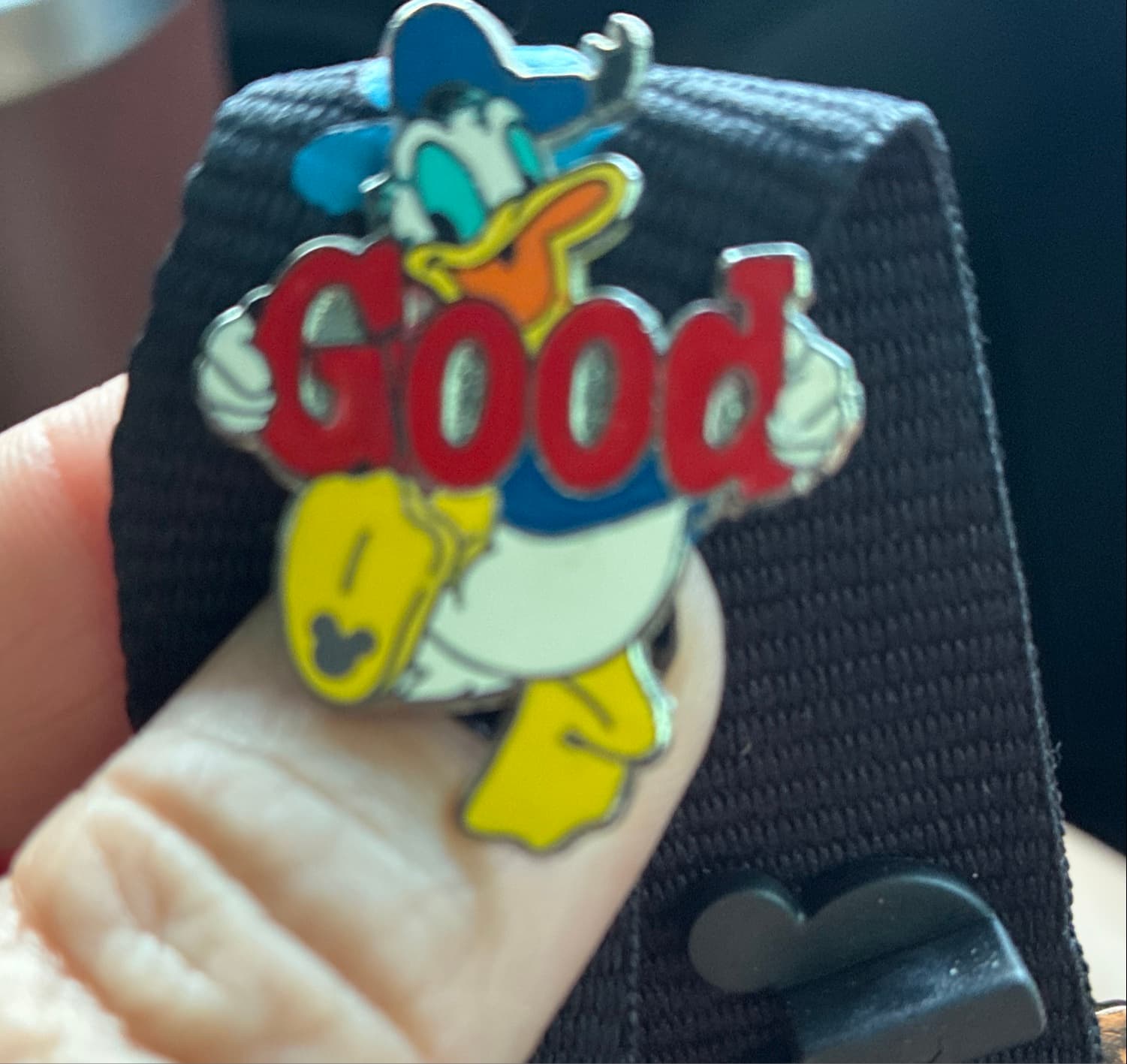 Hidden Mickey