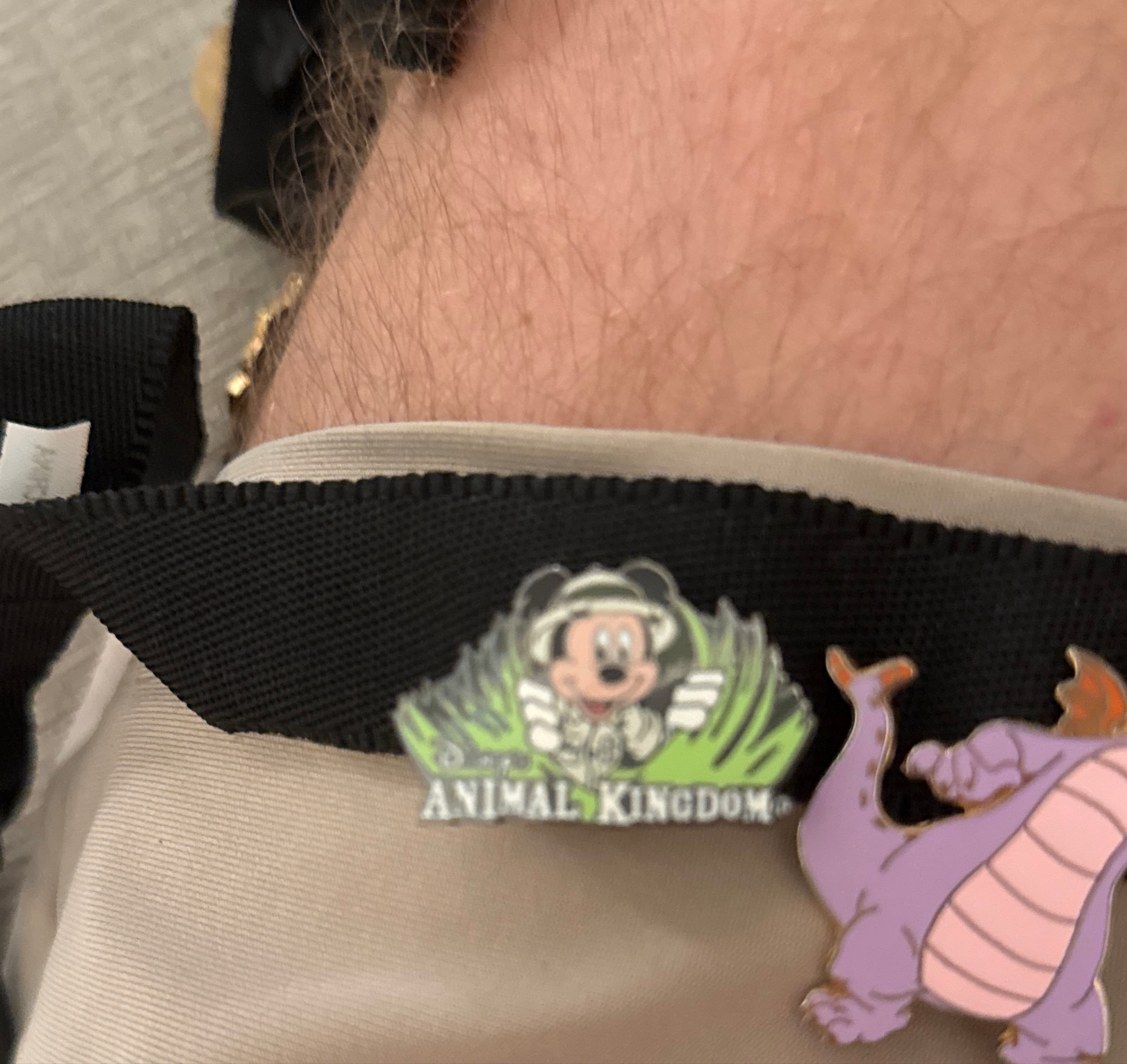 Animal Kingdom Hat and Pin Sets