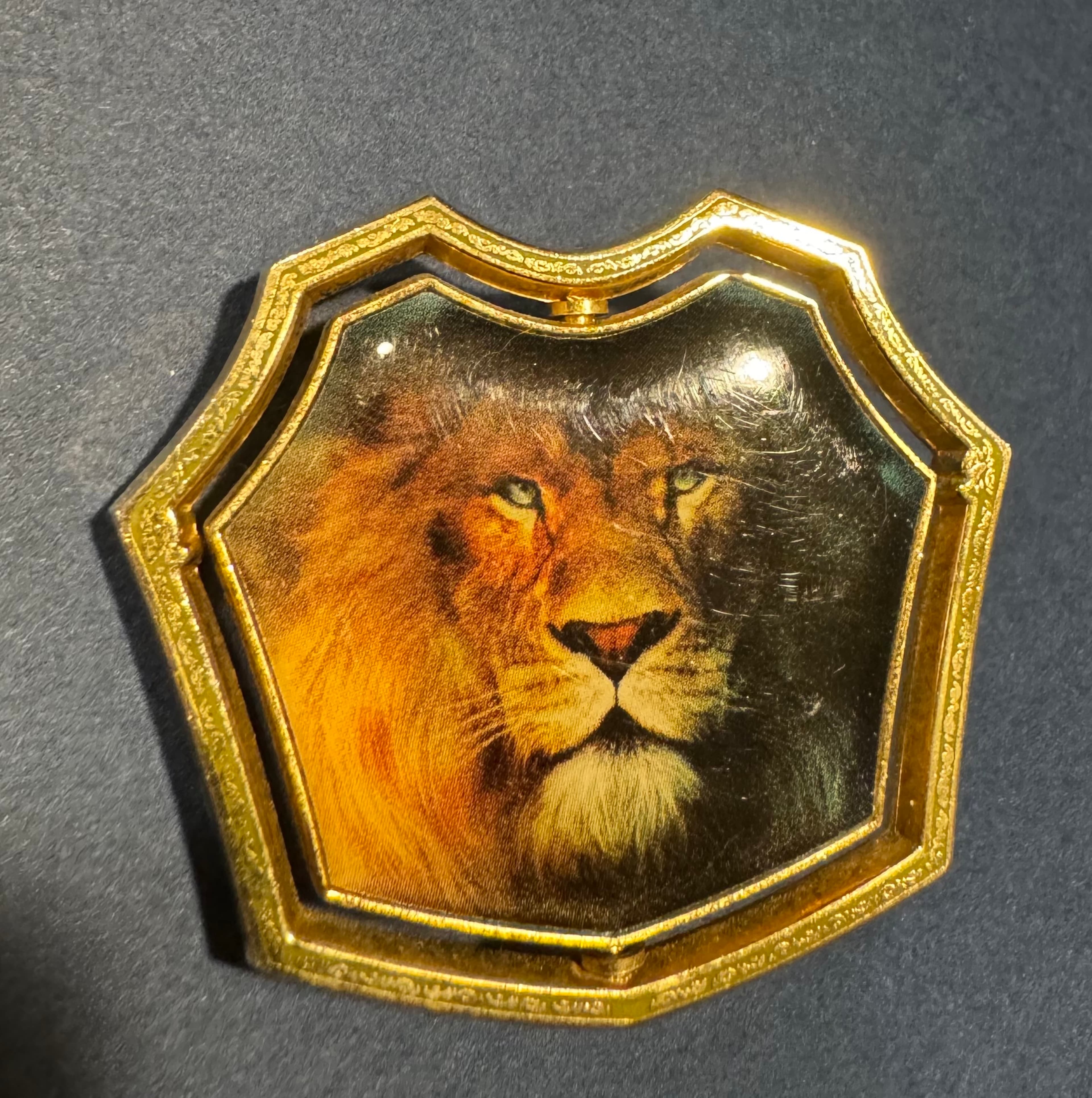 Disney Chronicles of Narnia Collectible Spinning Aslan Face Pin