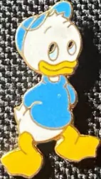 Donald's Nephews Series