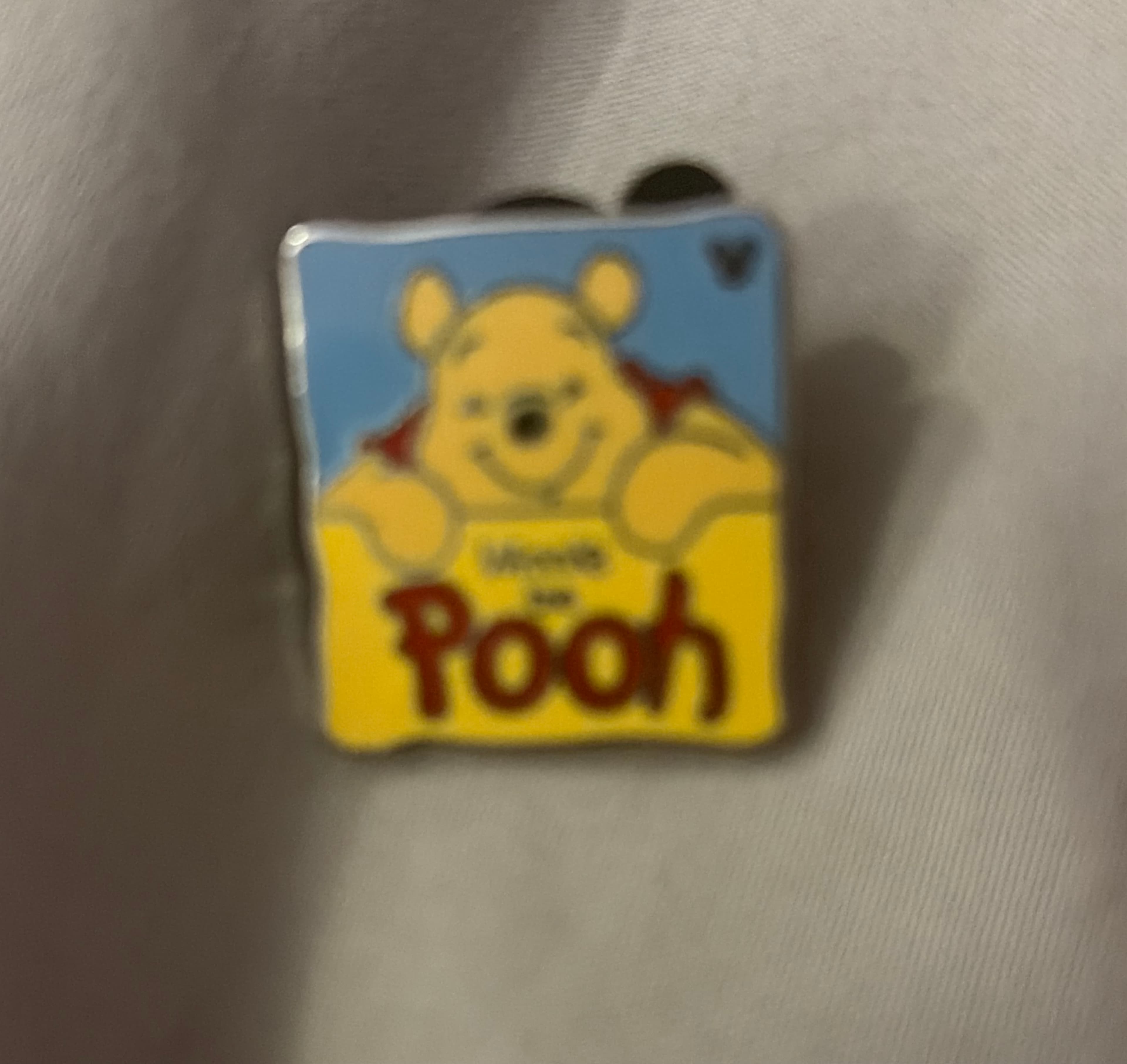 Winnie the Pooh - Pooh and Friends - WDW Hidden Mickey 2012: Wave A