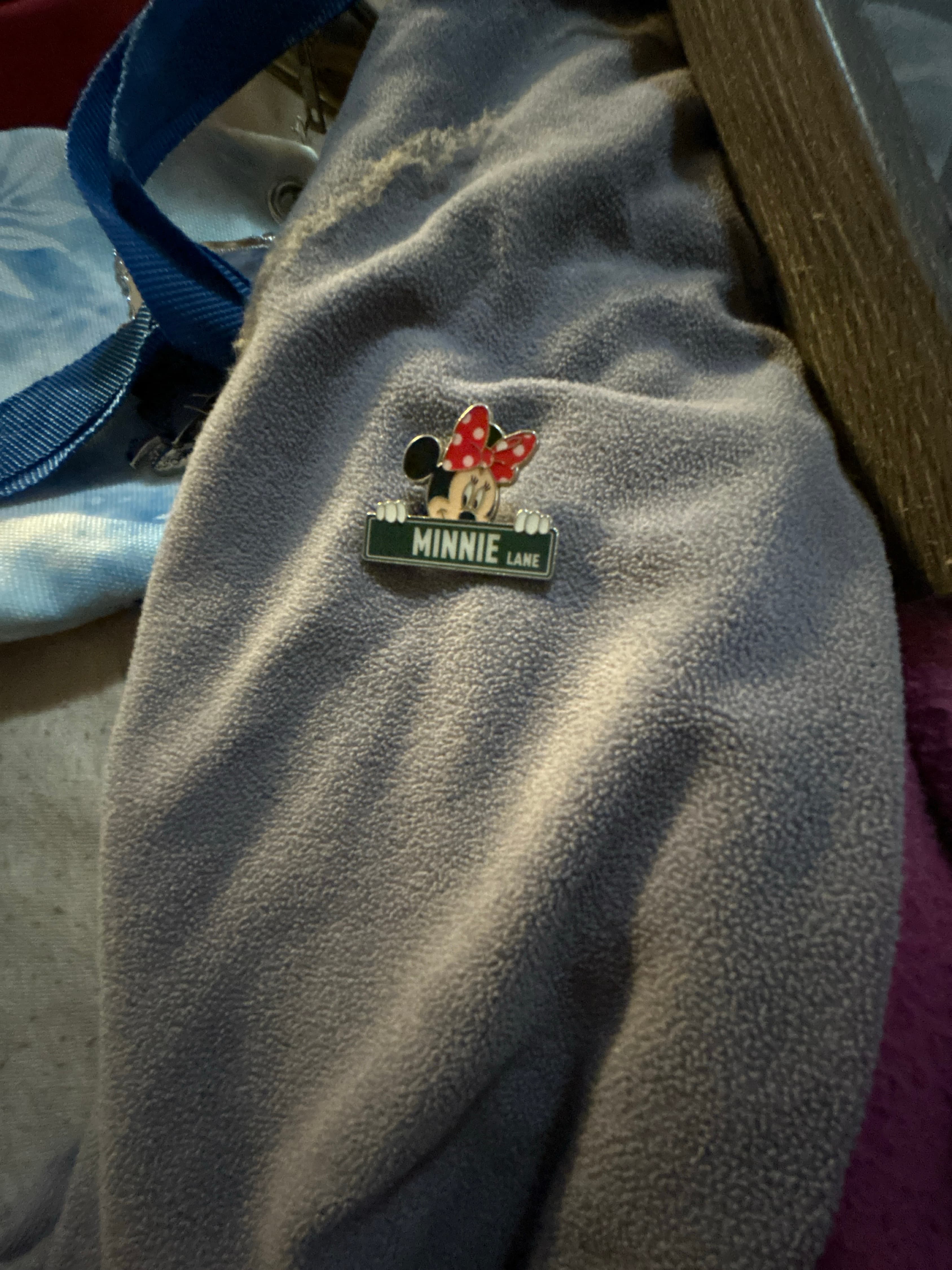 Minnie Lane - Disney Street Signs - Mystery front