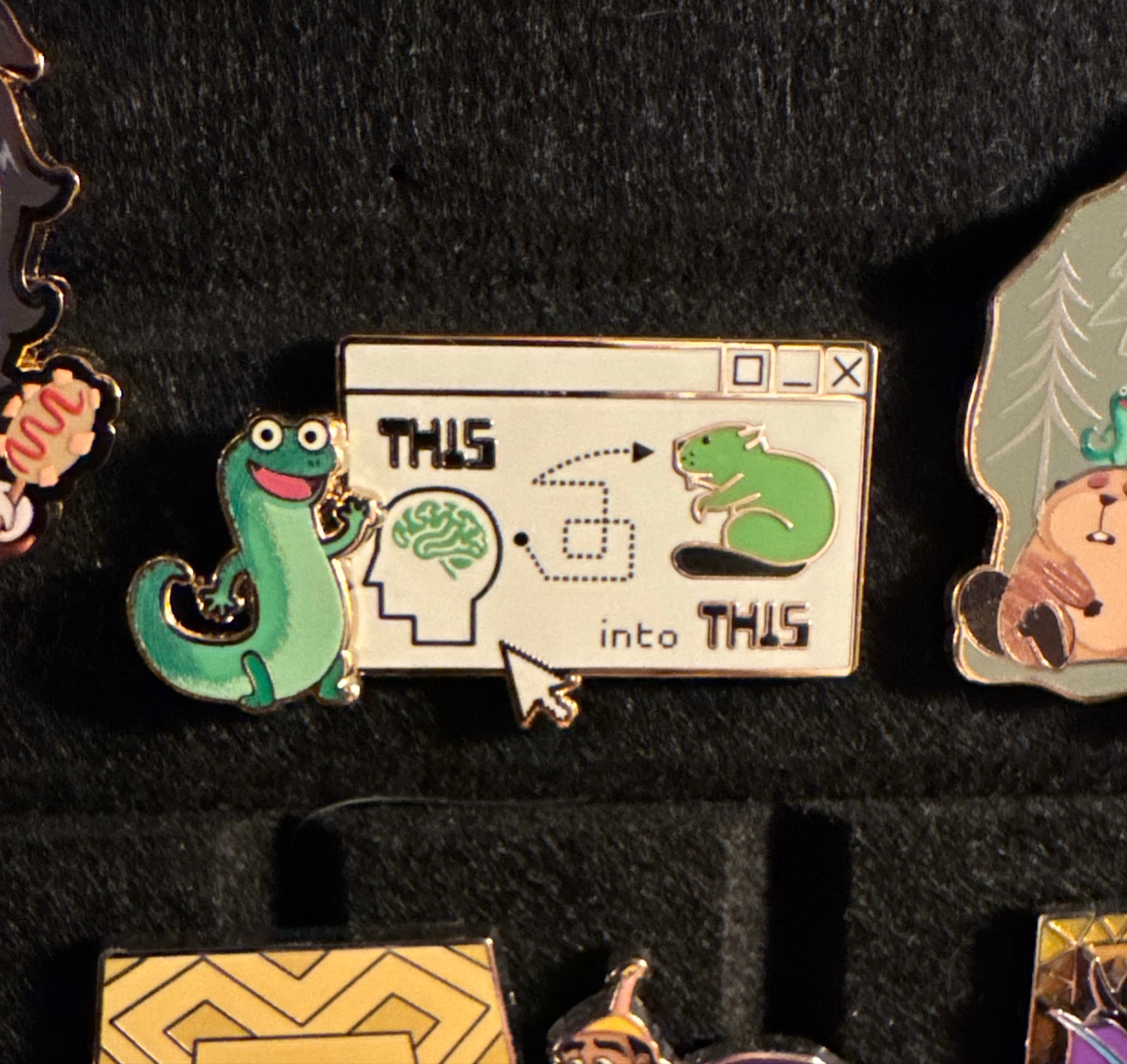 DSSH Hoppers Tom the Lizard front